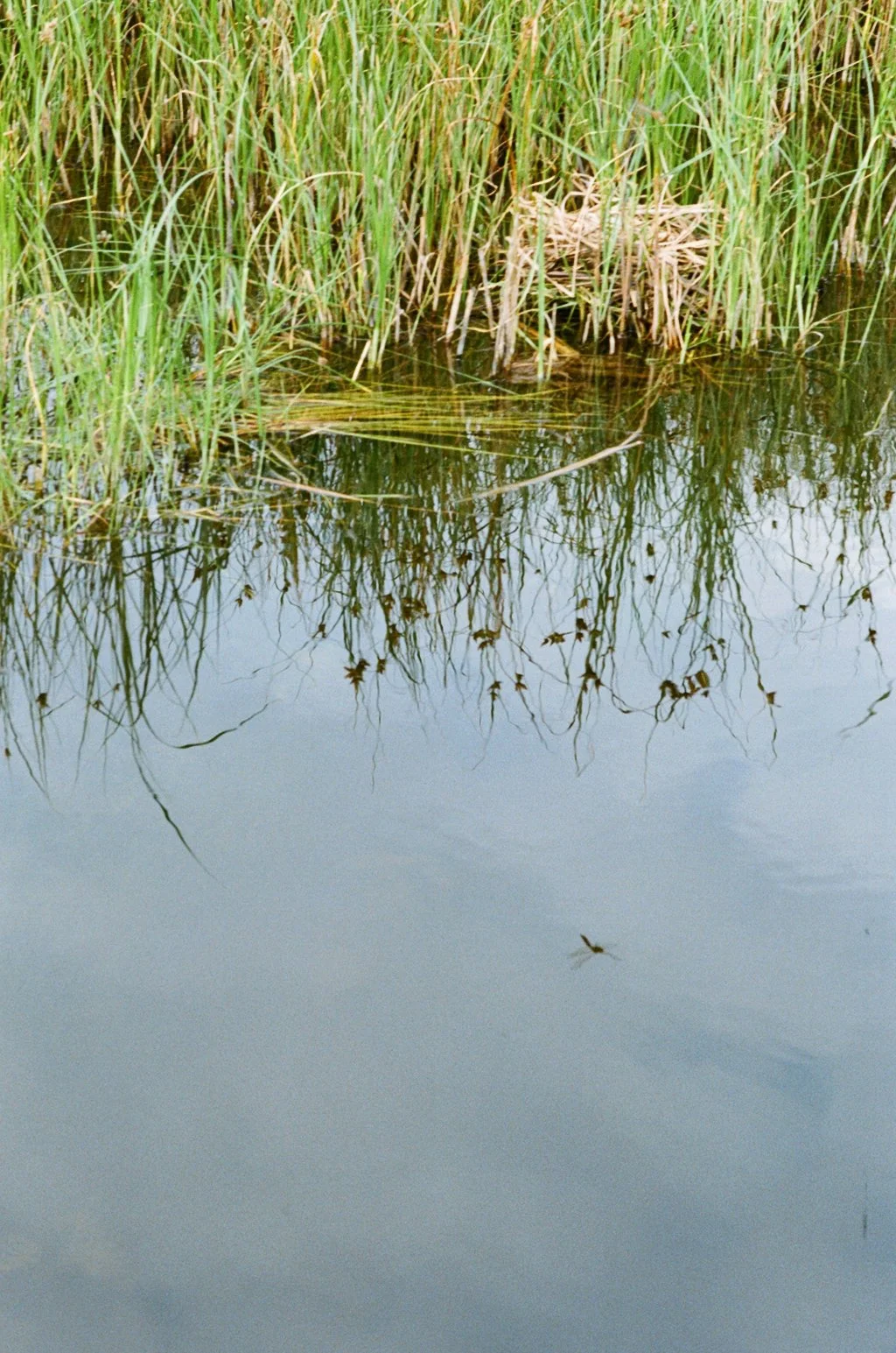 Crossness 13072415.JPG