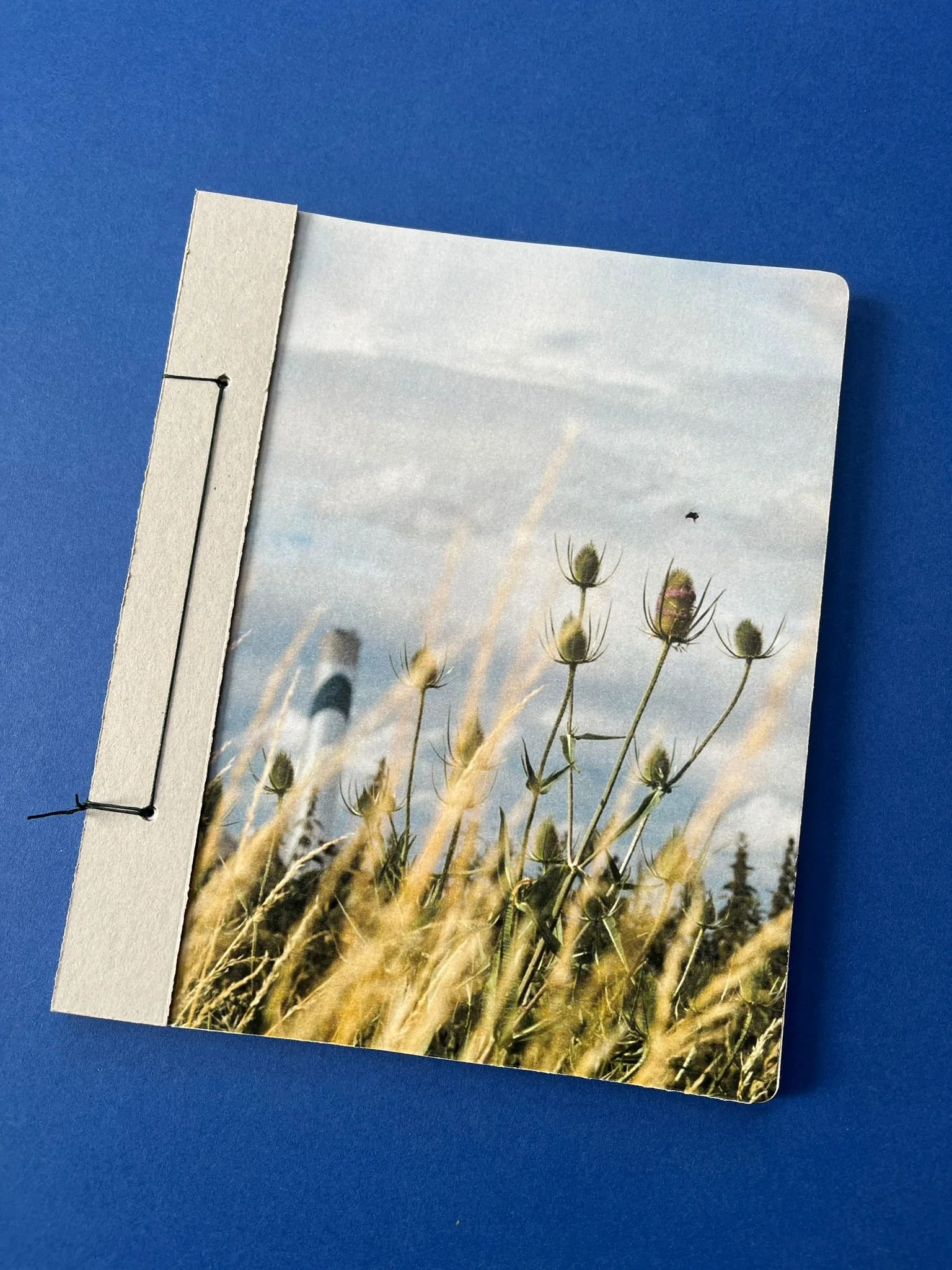 WhatsApp Image 2025-07-02 at 12.43.18.jpeg