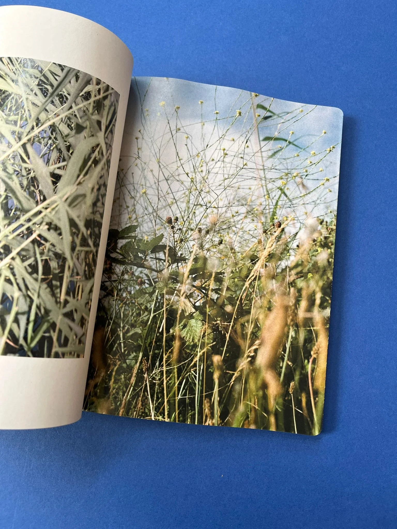 WhatsApp Image 2025-07-02 at 12.43.22 (1).jpeg