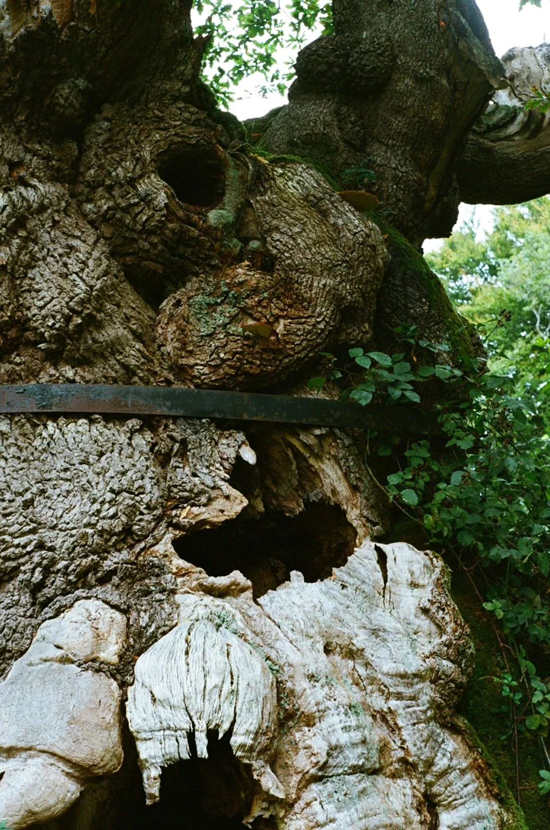 Postcard11.jpg