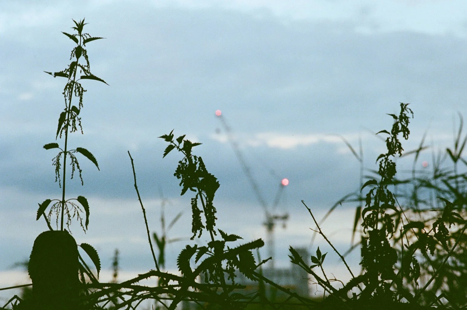 Crossness 13072494.JPG