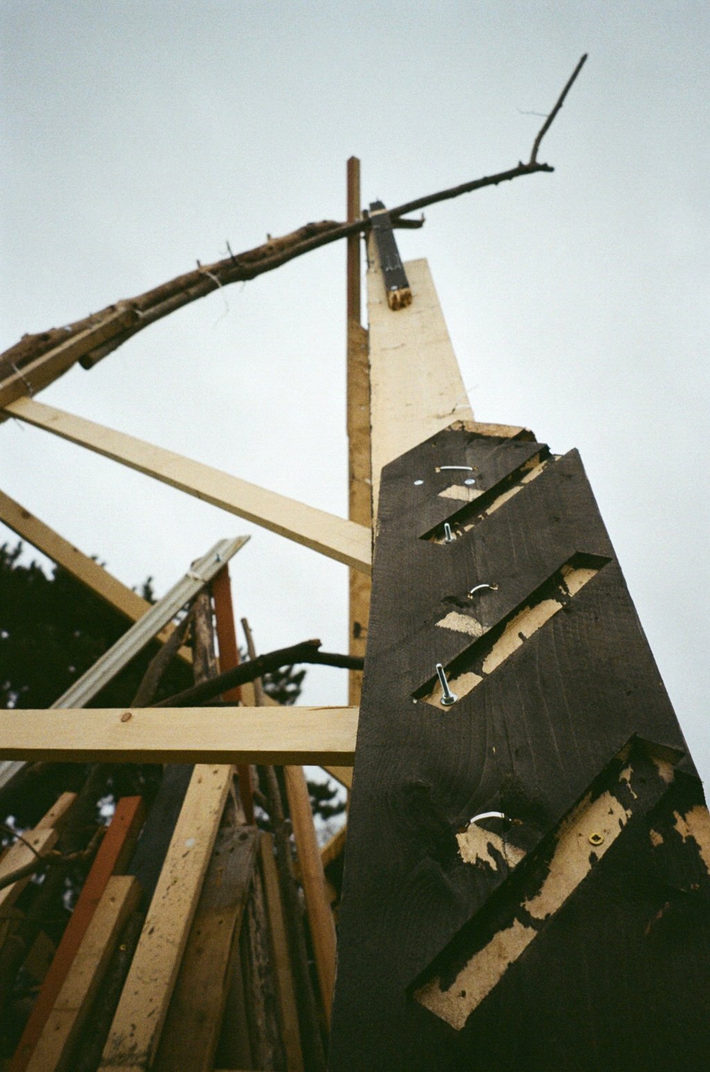 95520013.JPG