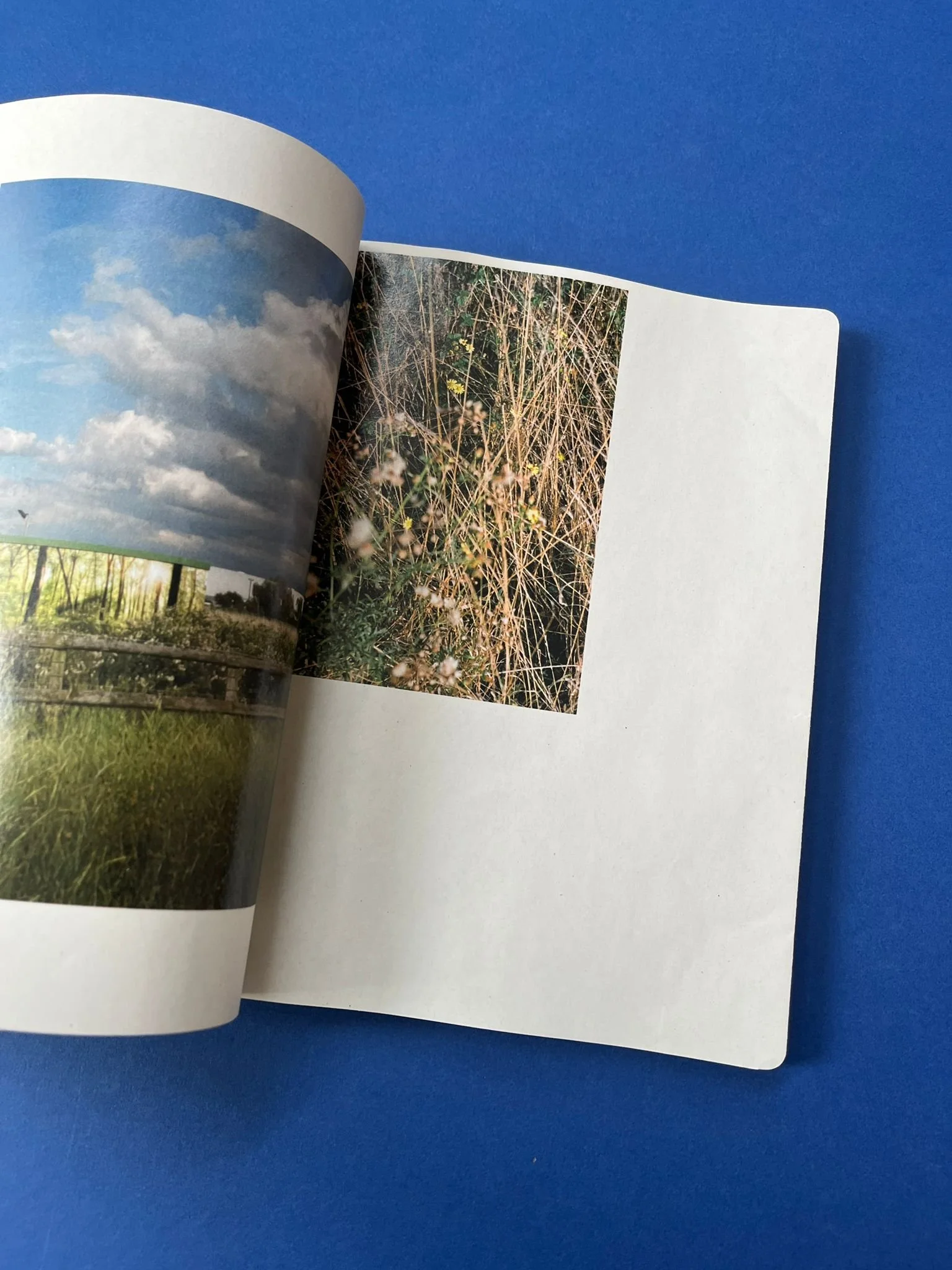 WhatsApp Image 2025-07-02 at 12.42.46 (1).jpeg