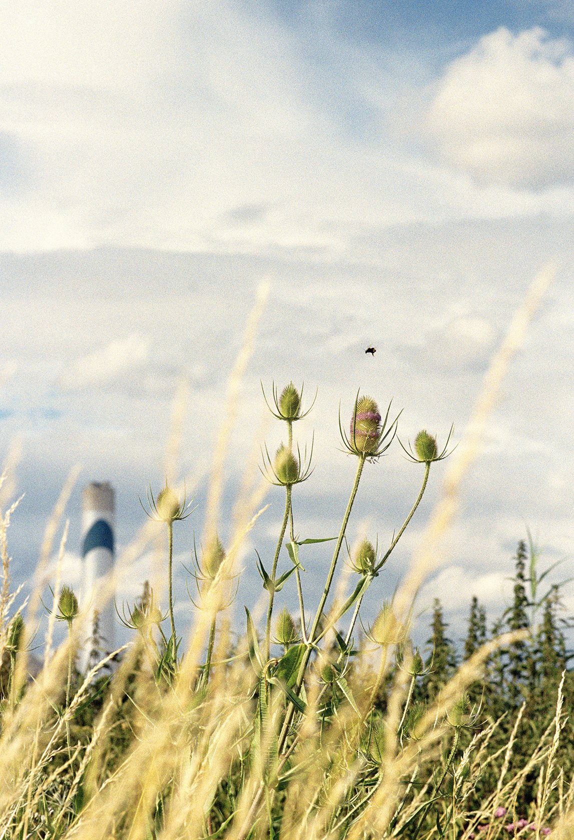 Postcard25.jpg