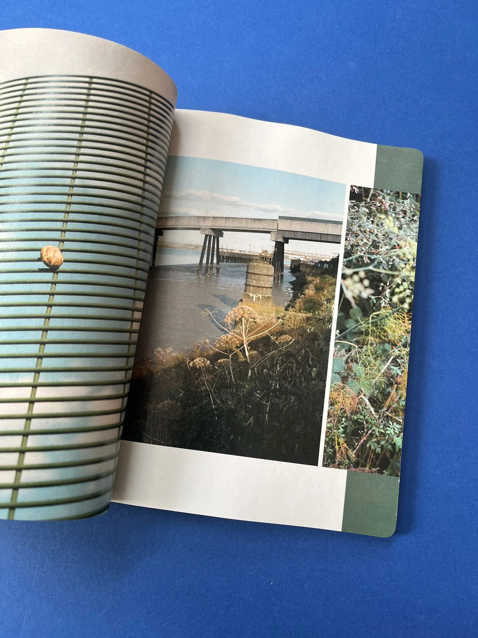 WhatsApp Image 2025-07-02 at 12.43.22 (2).jpeg