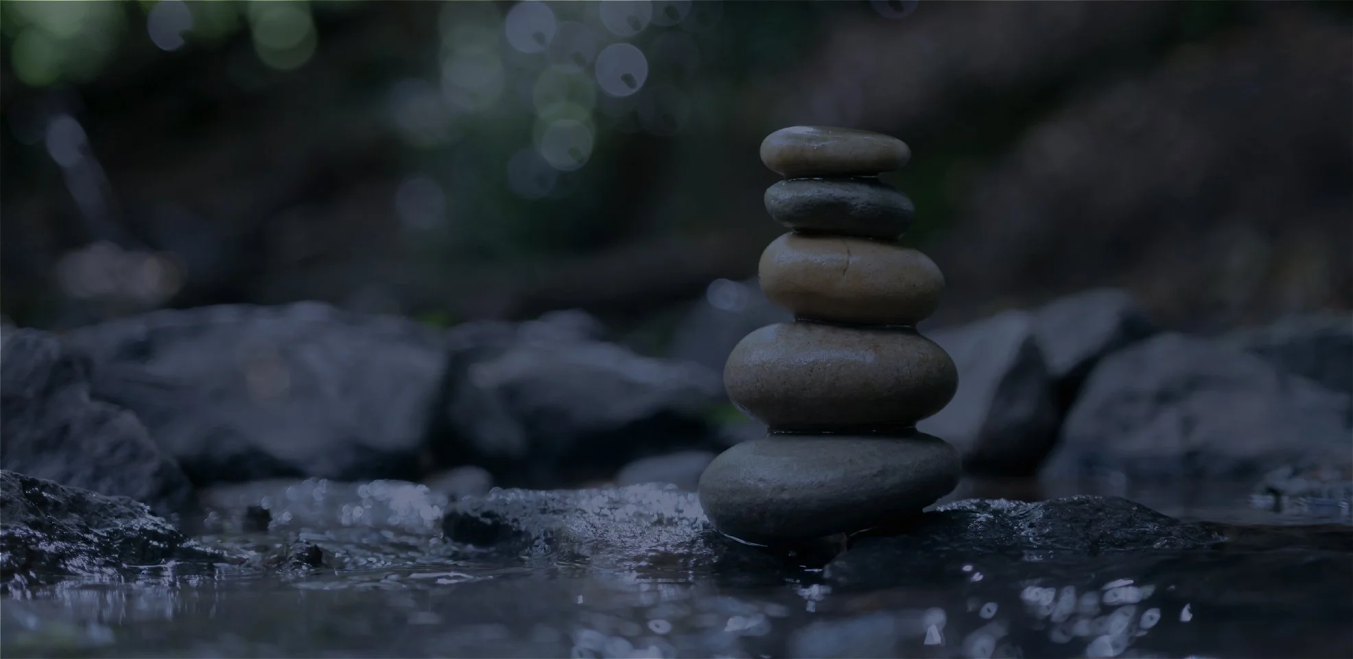 Mandarin Staff — River's Edge Counseling Center