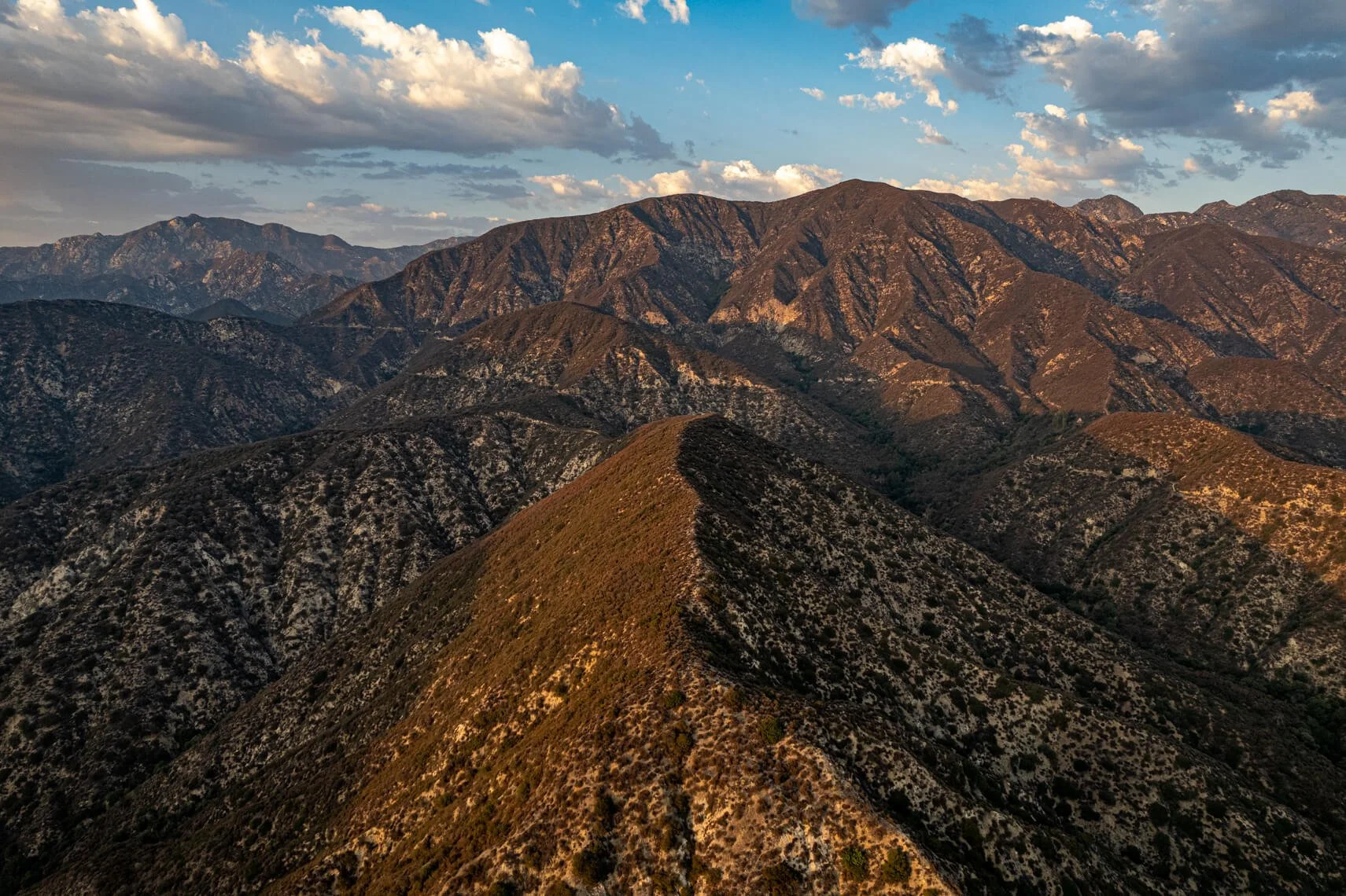 DJI_0212.jpg
