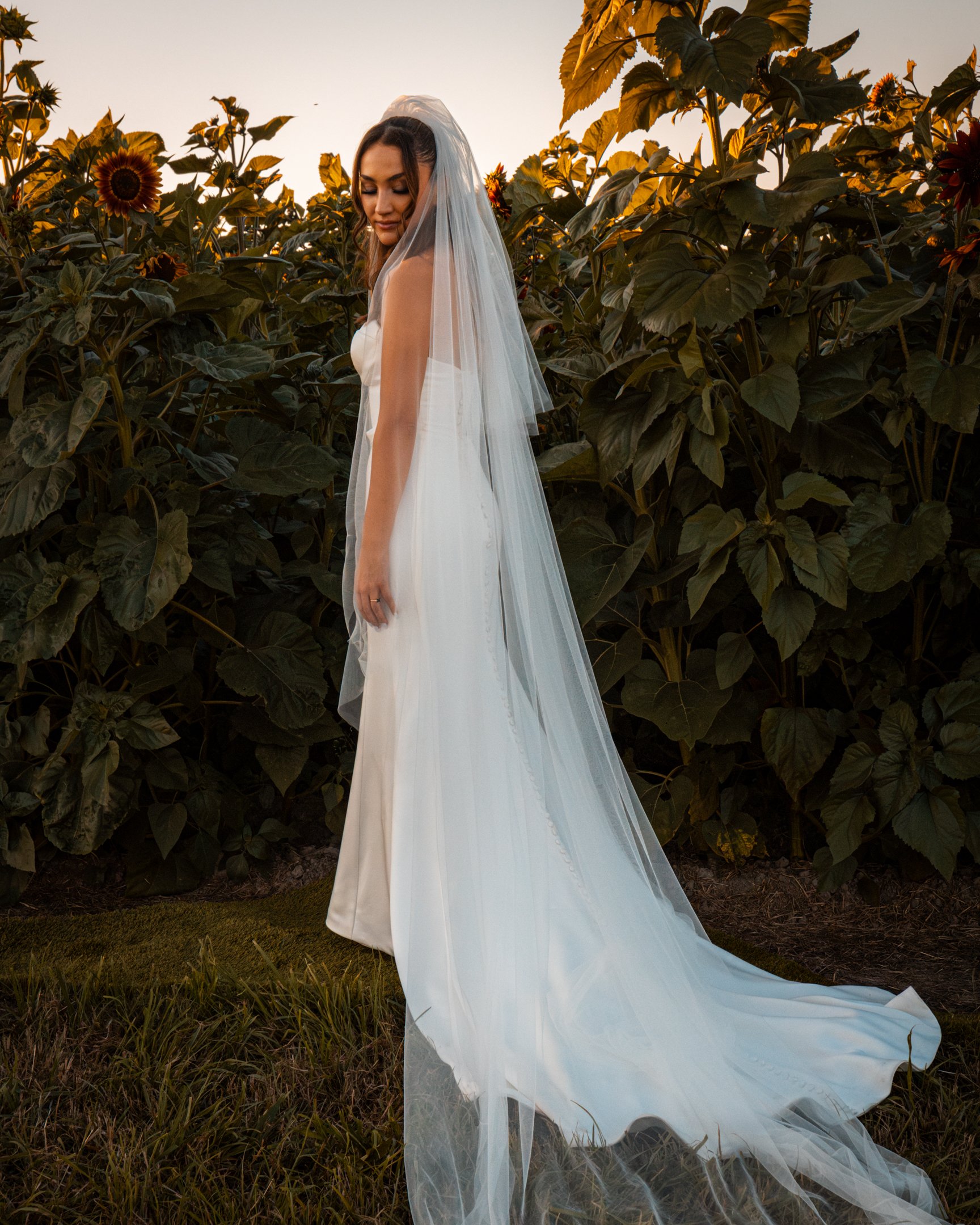 4E9A7537-Enhanced-NR.jpg