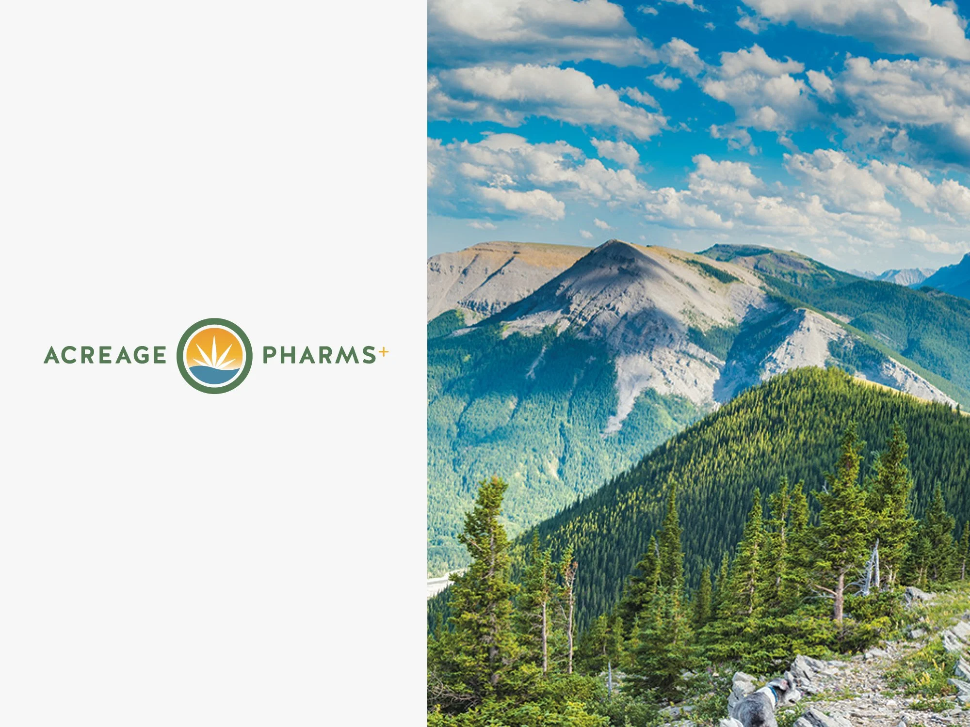 Identity concept for grower specialized in medicinal cannabis