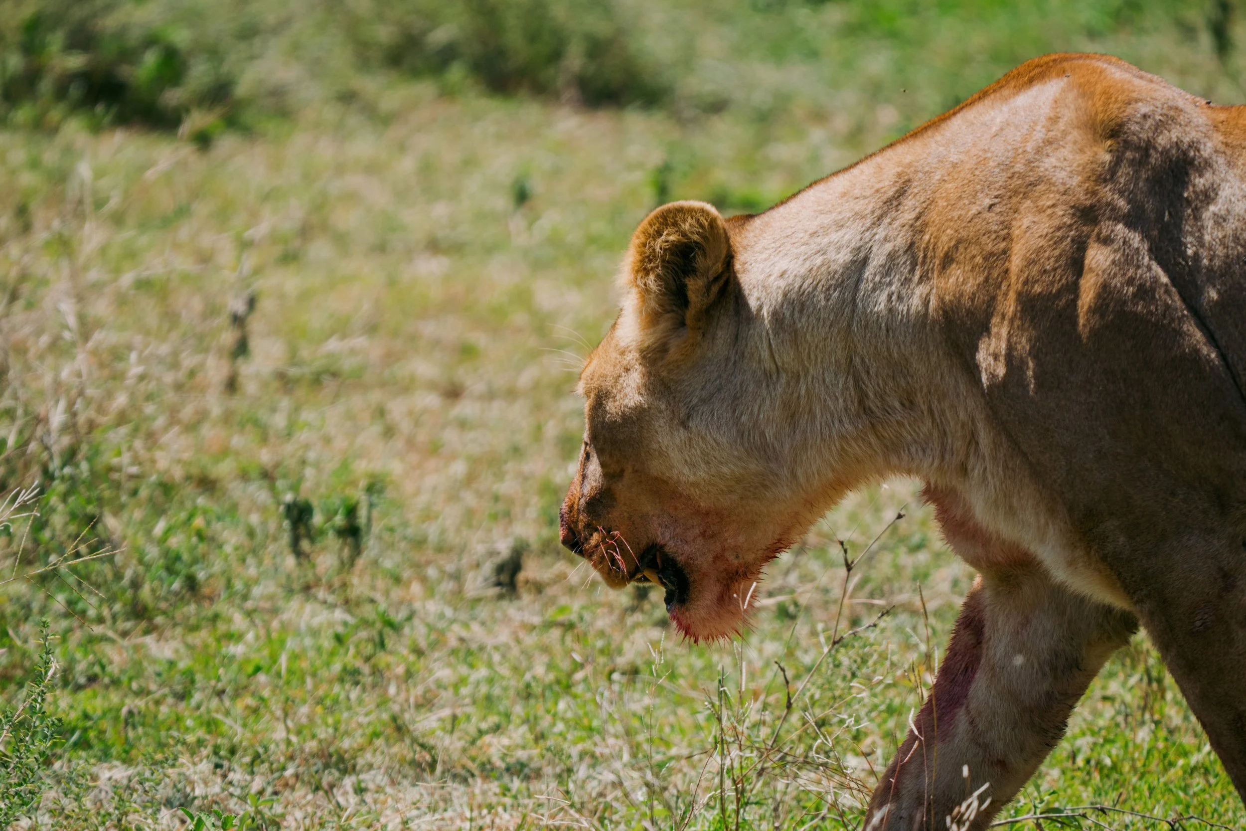 tanzania-237.jpg