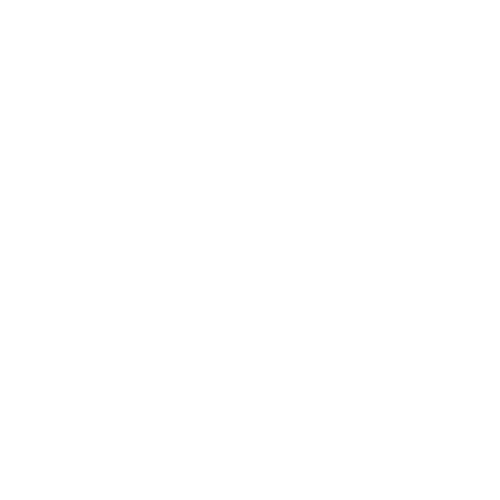 Omar Aly
