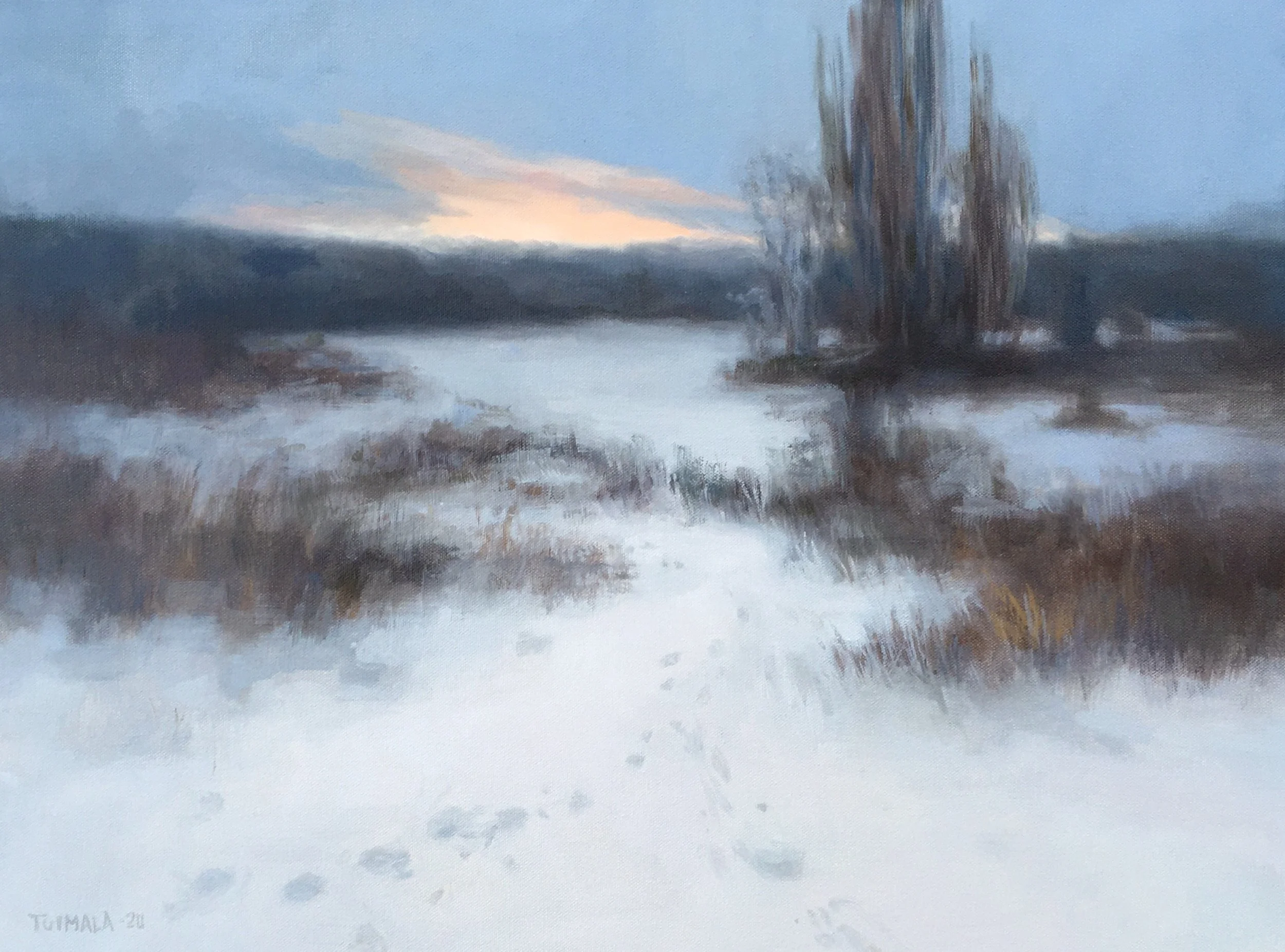Viasvesi, 2020
50 x 70 cm, oil on canvas