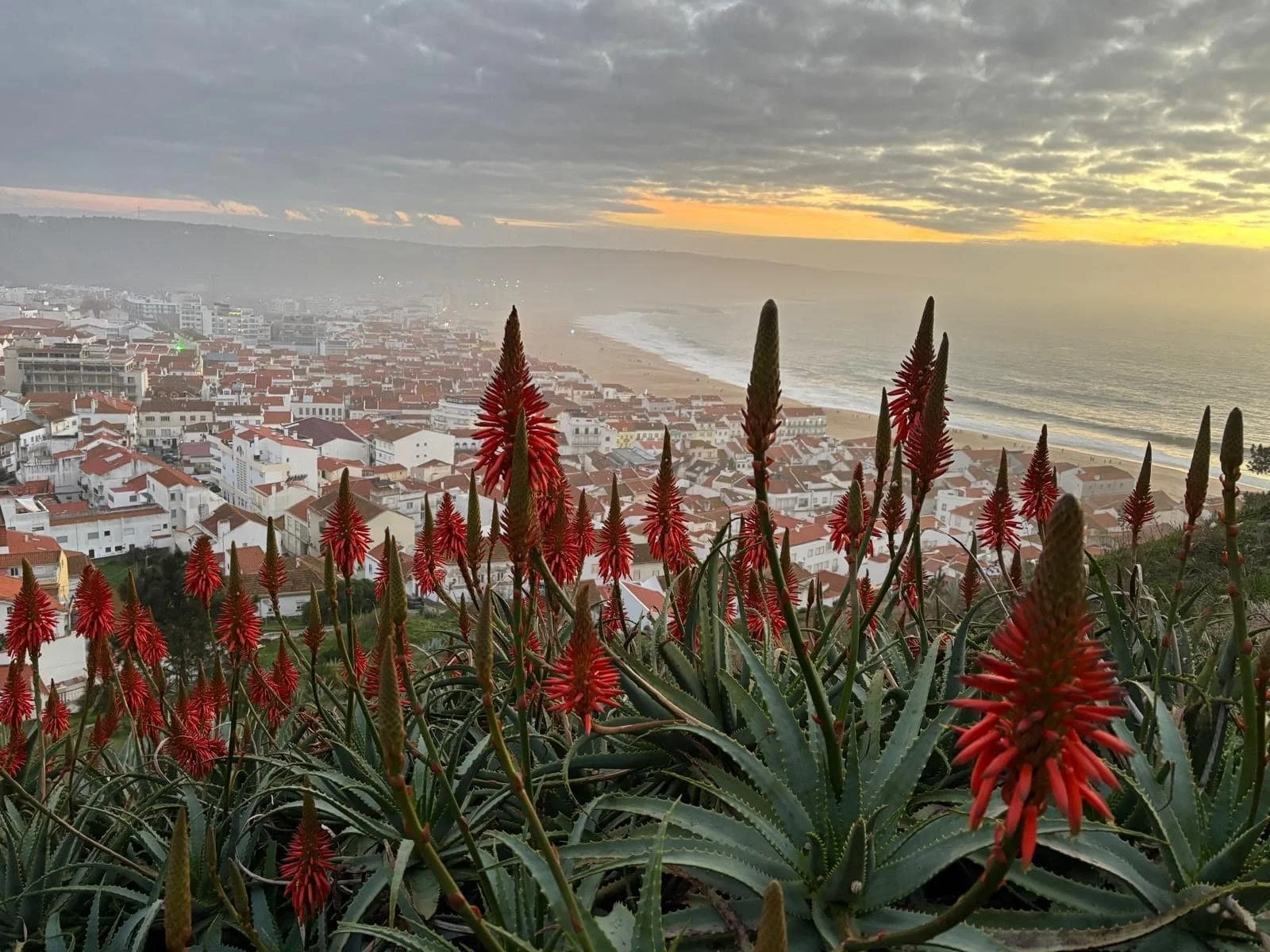 Birthday &amp; Holiday Reflections - On Making Peace with Discomfort
