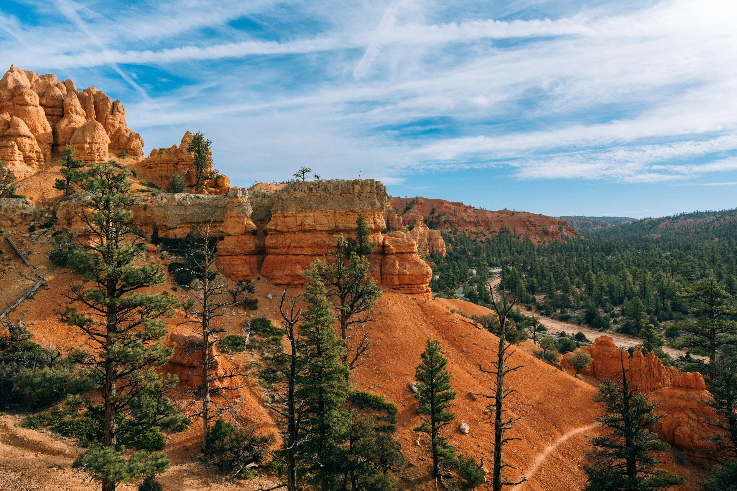 Scenic view of red rock formations, pine trees, and a dirt trail in a desert landscape under a blue sky with scattered clouds.