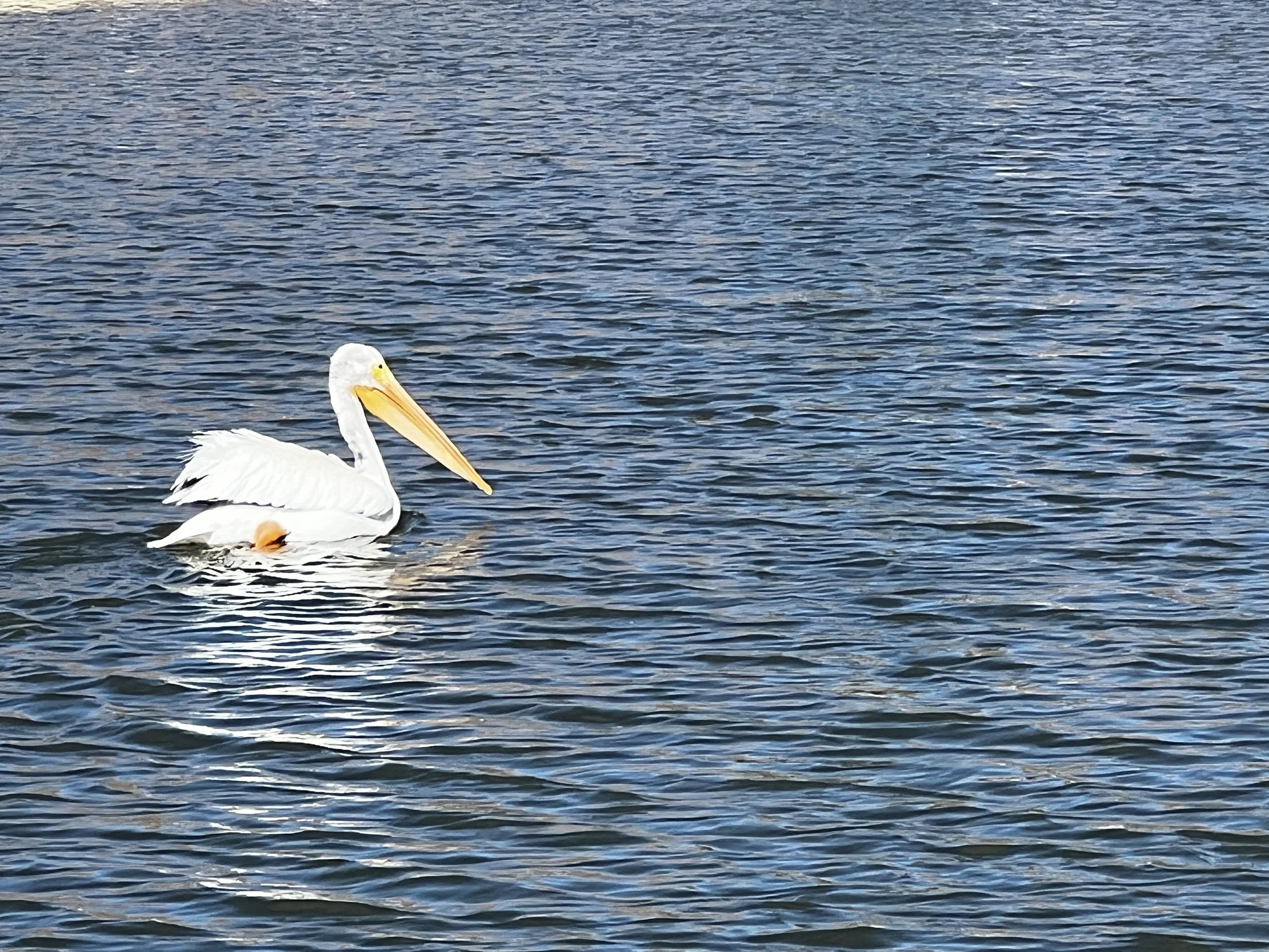 IMG_5002.jpg