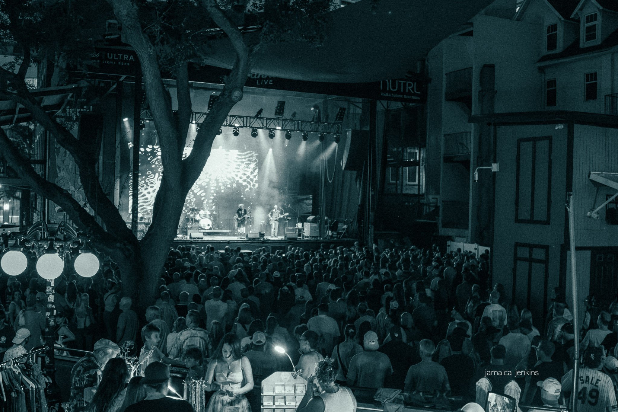 jj_jannus-35.jpg