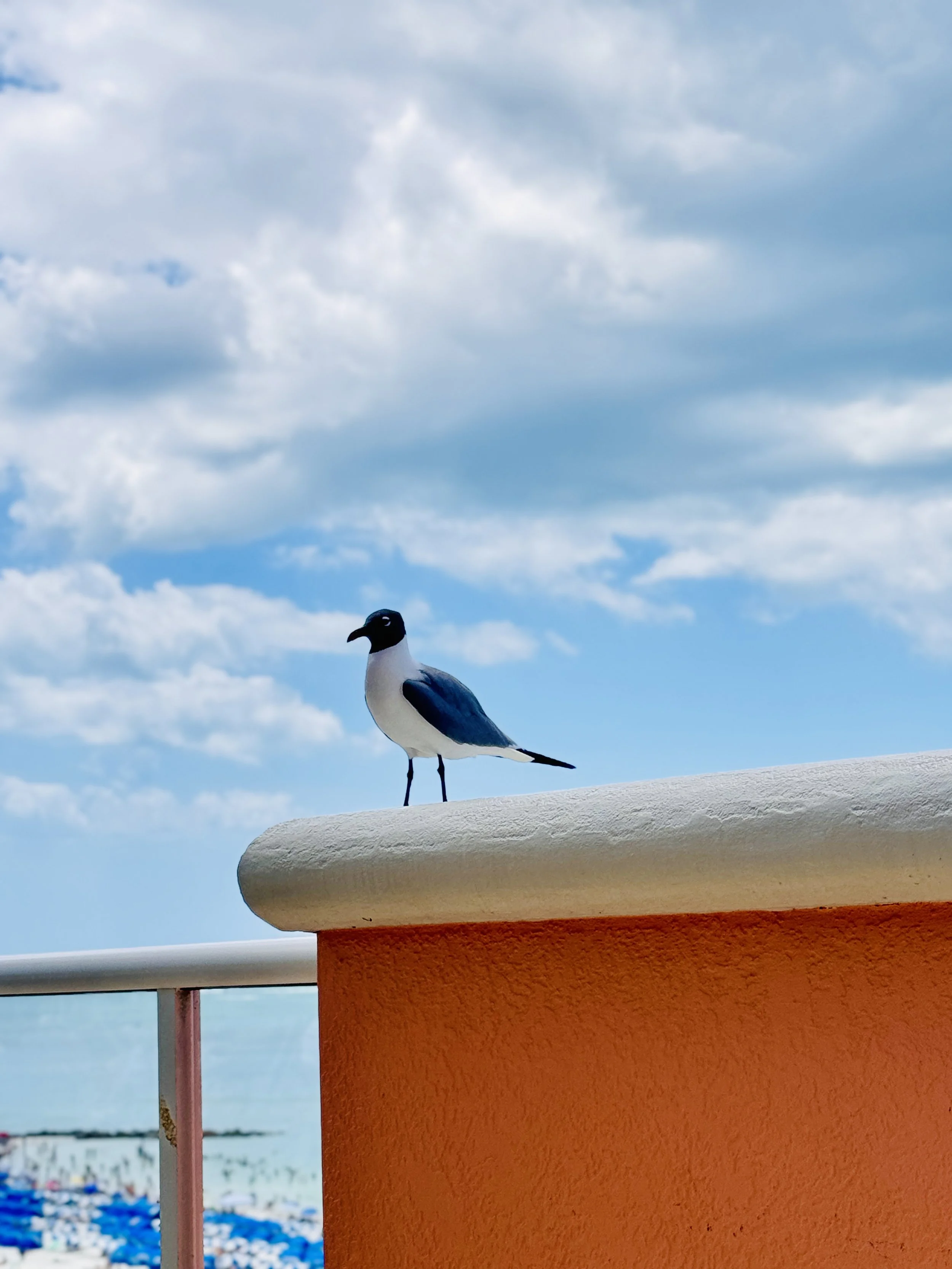 IMG_5039 2.jpg