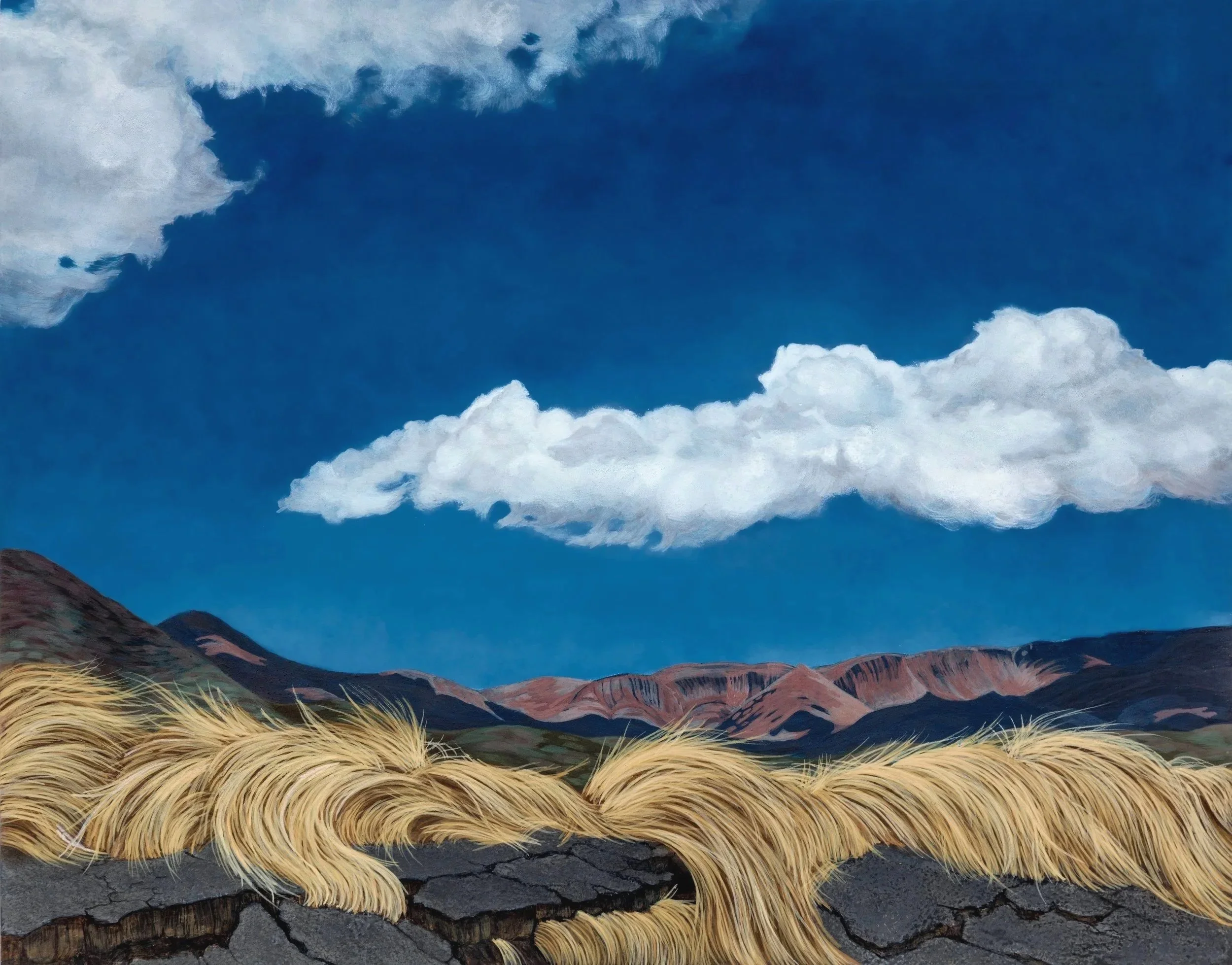 "REPOSSESSION"  2025
Johns Valley Road Series