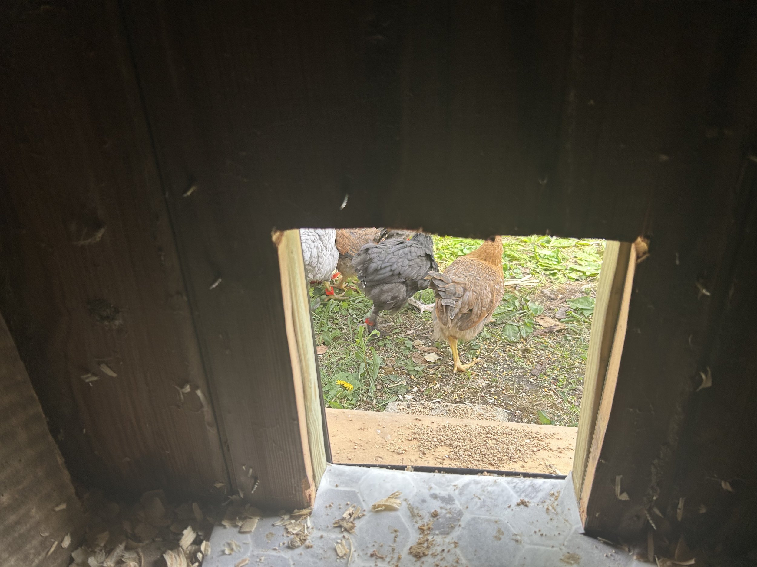 IMG_5823.jpeg