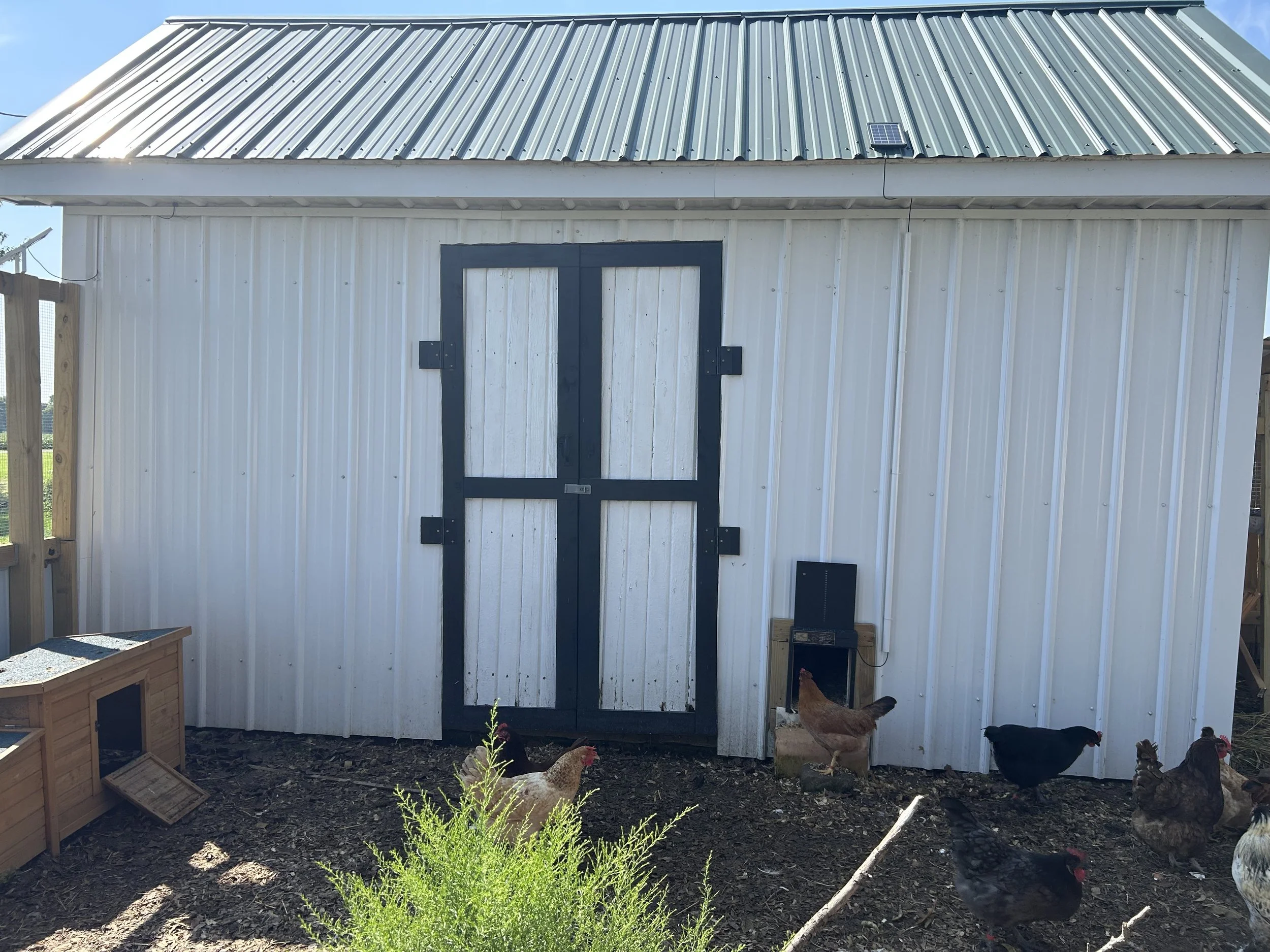 Chicken House