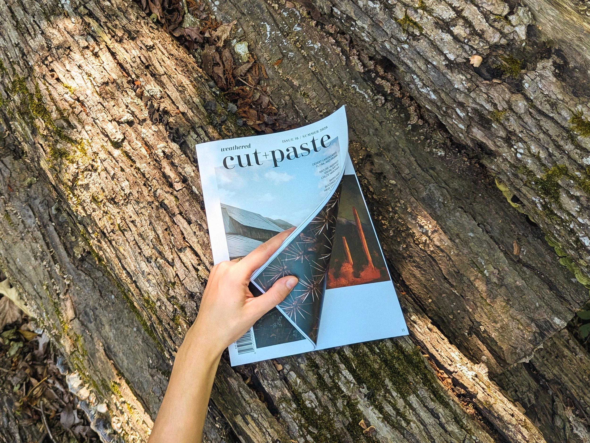 PXL_20260519_135921587.jpg