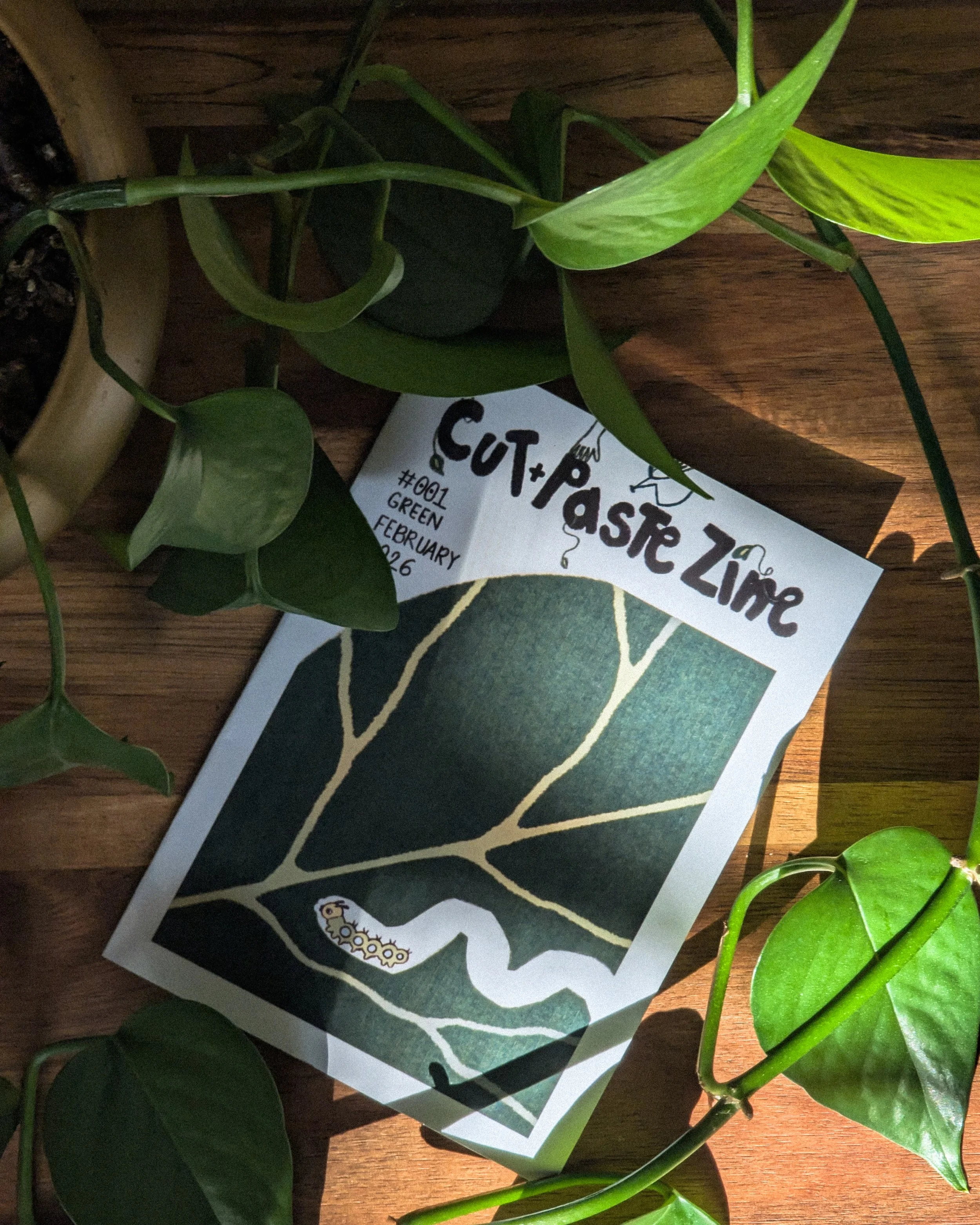 Cut+Paste Zine Subscription