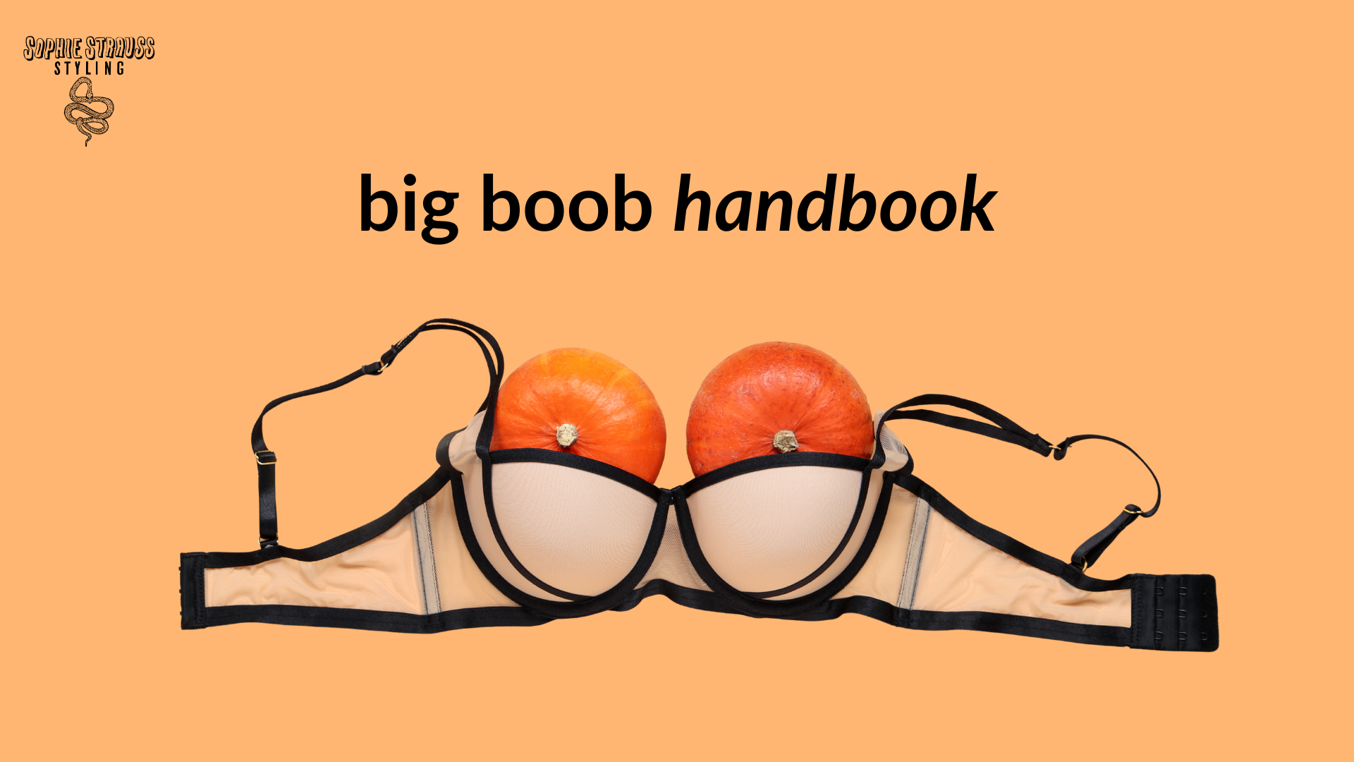Big Boob Handbook