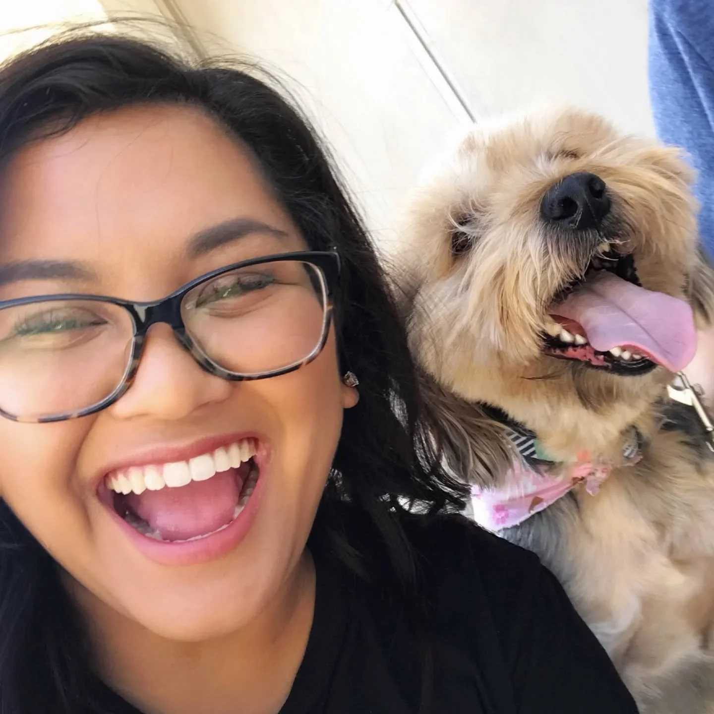 Welcome Meg Zari, our newest Pack Pro! Meg is an incredible presence and dogs live her energy. We're so glad to have you on the team!