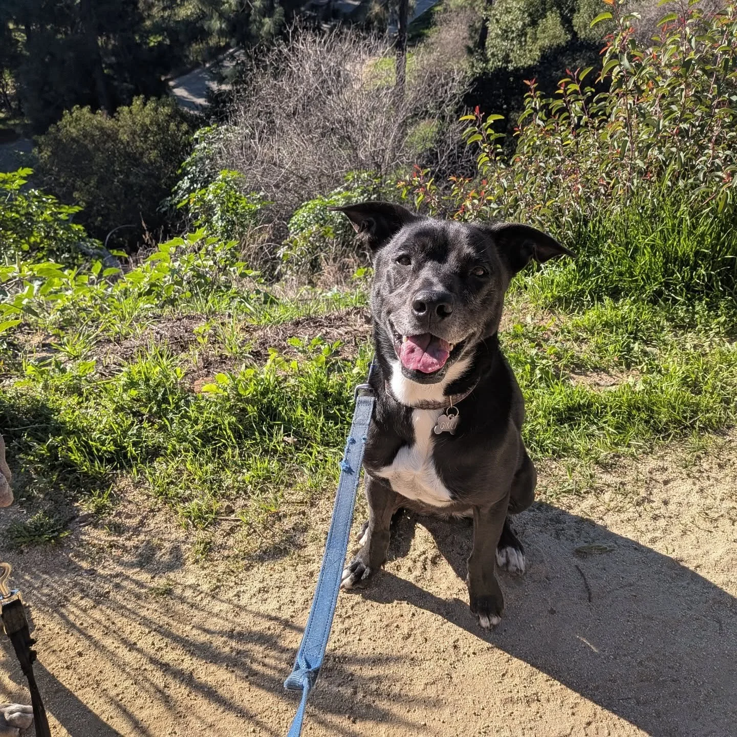 Gimli, the star that you are!