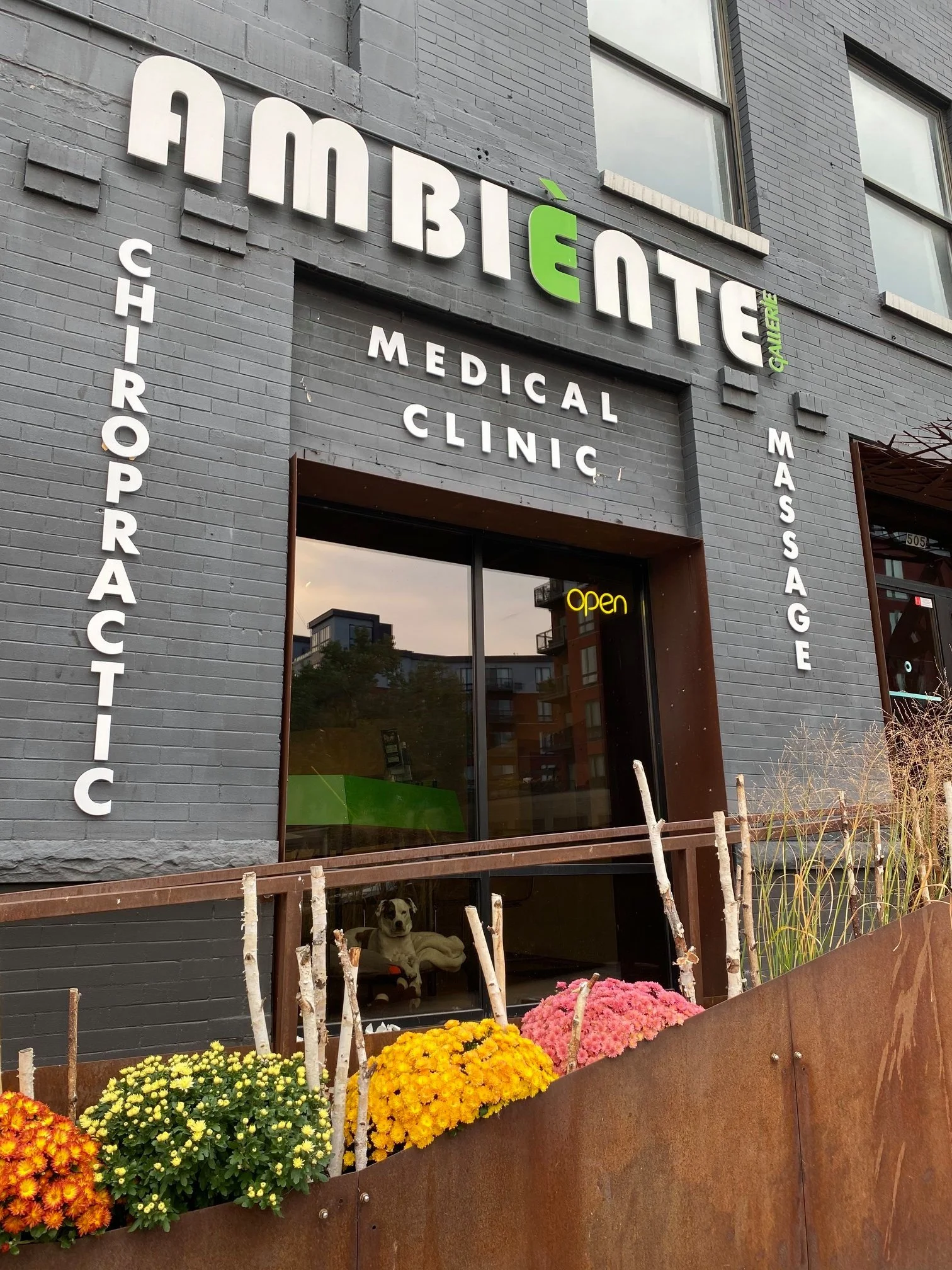 Ambiente Gallerie Chiro &amp; Clinic