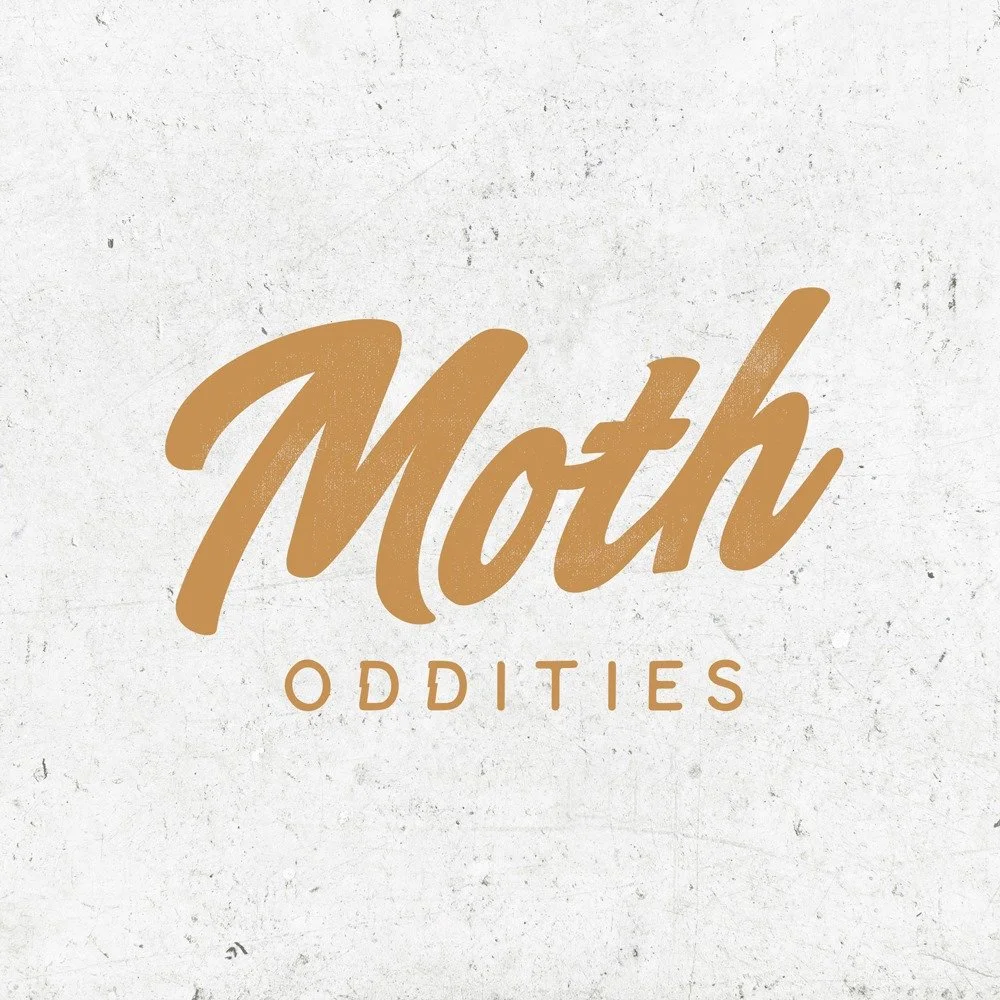 Moth Oddities