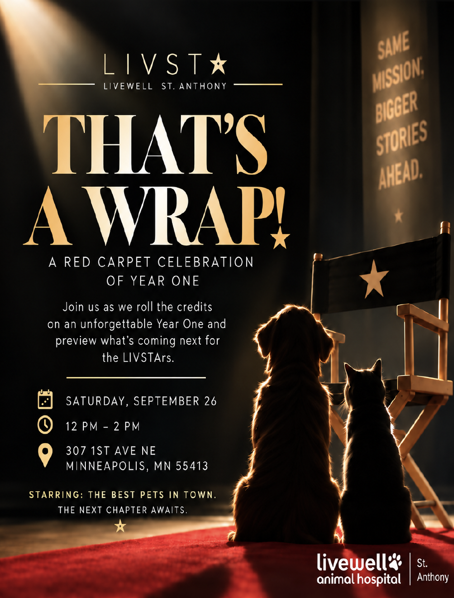 Livewell 1-year anniversary party