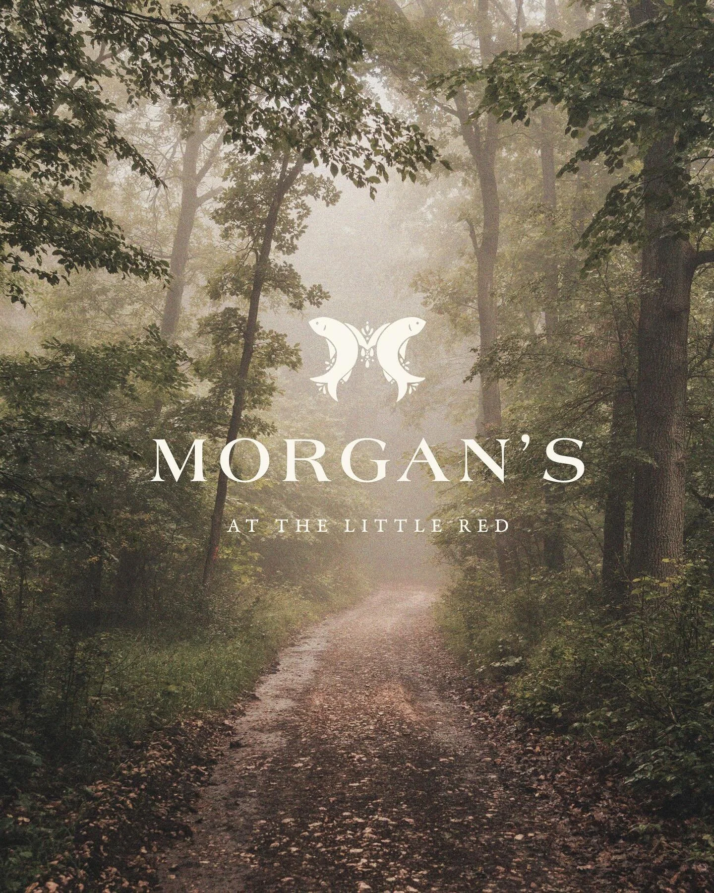 Revisiting this one because I love it so much! The brand design for @morgansatthelittlered is a perfect illustration of how a band package can offer you so many options. I hear &ldquo;I just need one quick logo&rdquo; a lot but I promise you, you nee