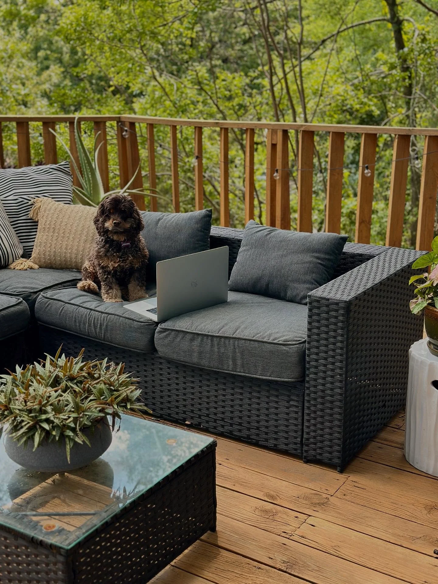 A little bit of life lately, both in and out of office 💞🌞