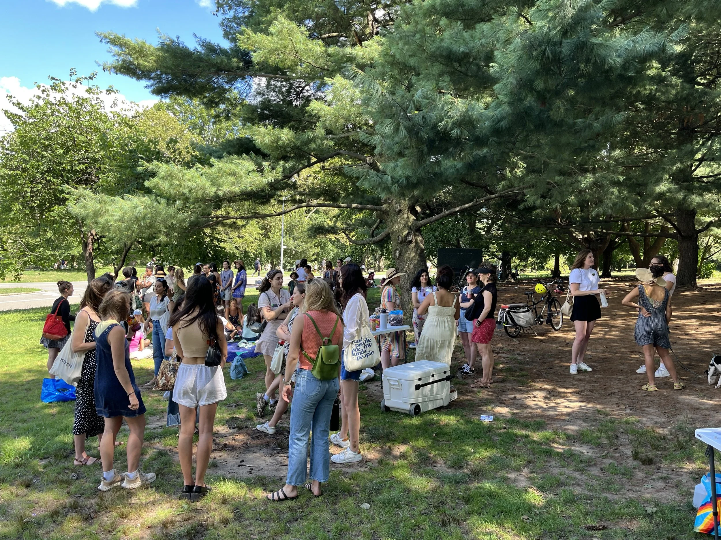 July ‘23 Brooklyn Picnic