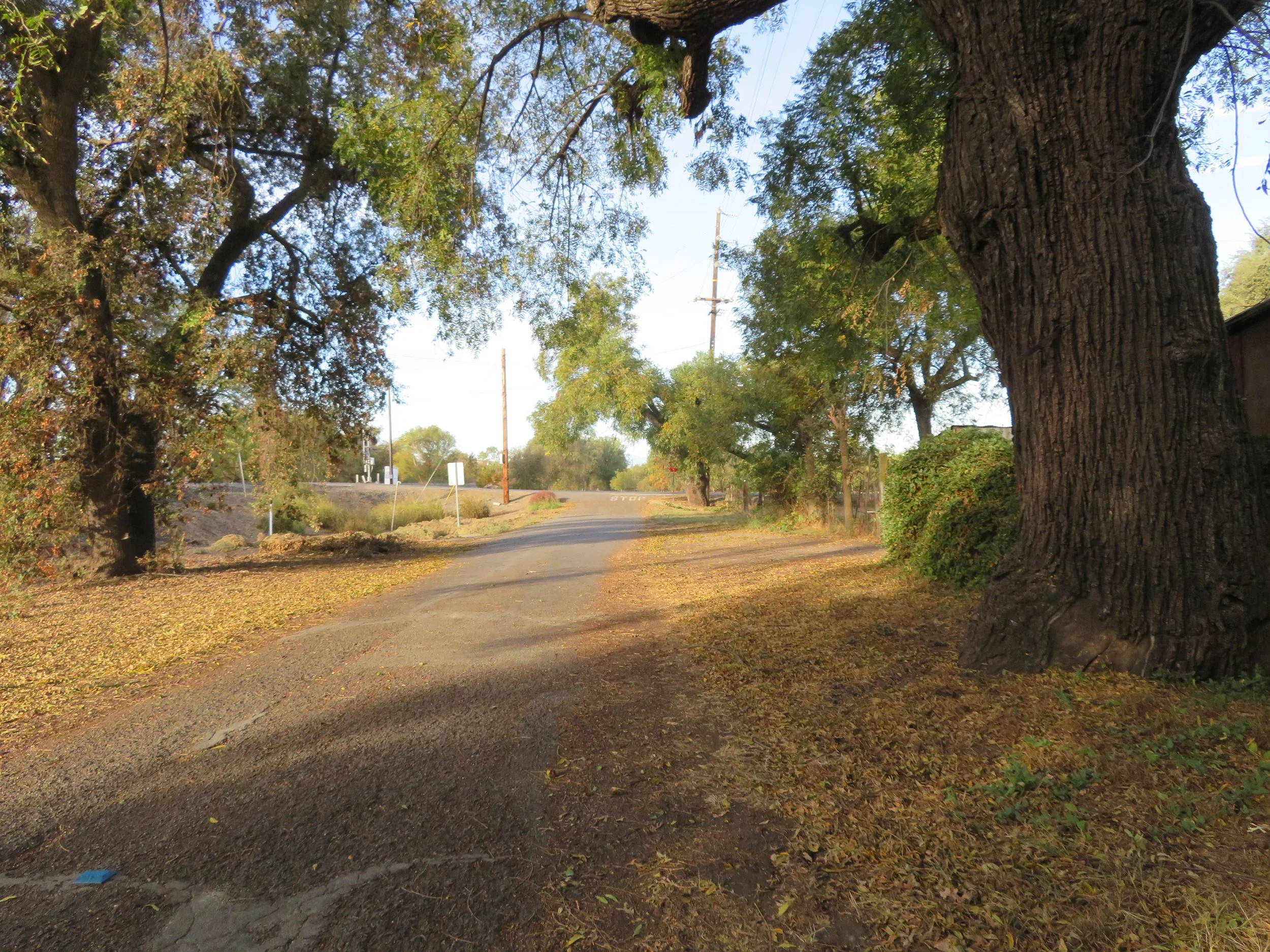 City of Tehama Transportation Plan