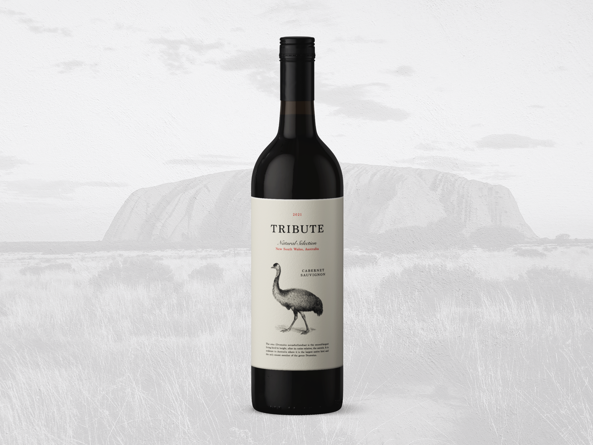 Wine Label Design