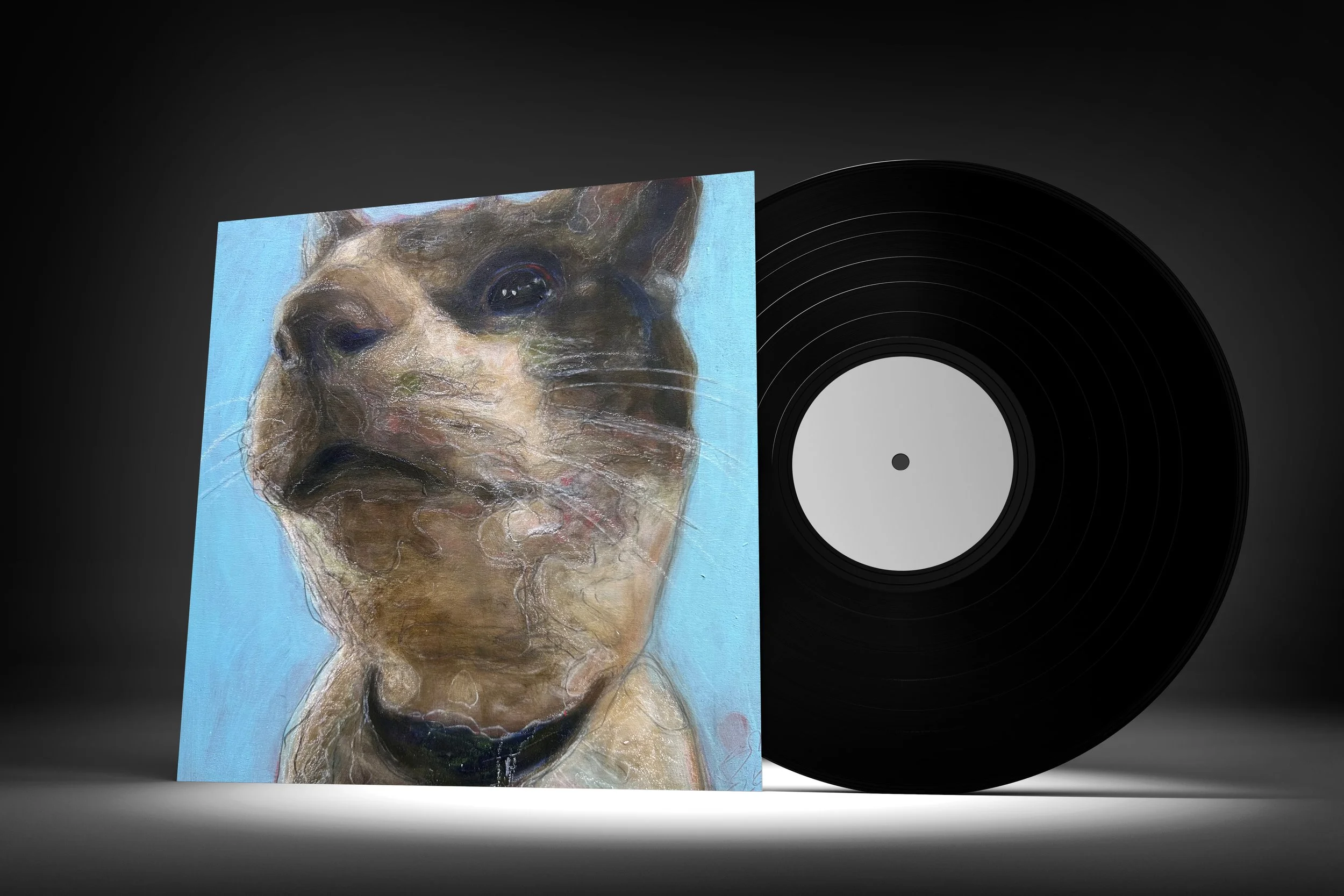 vinyl-1 copy.jpg
