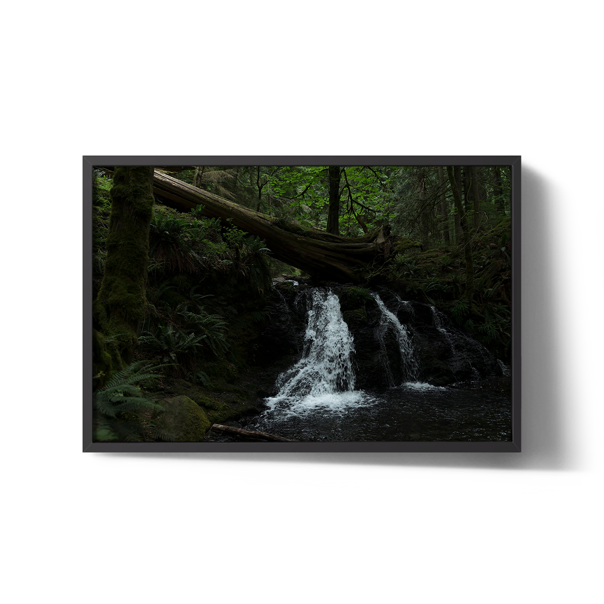 GP3000102Waterfall_Romerein_48x32_c7731026-9461-46b6-aee4-7f8aeb4b05a5_3000x copy.png
