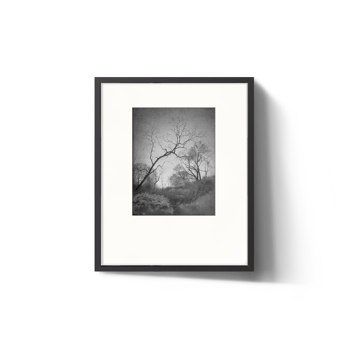 Brooklynn Woods — Mary Reilly