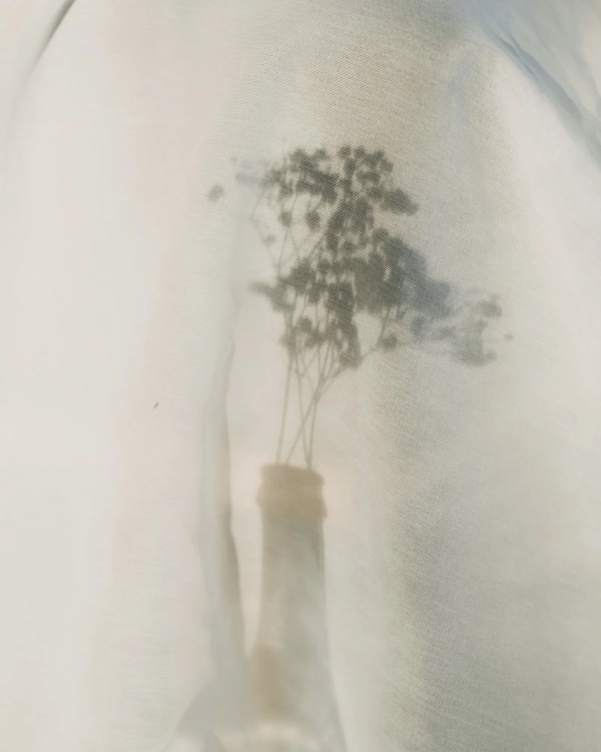 𓆇 Sunday Morning Club