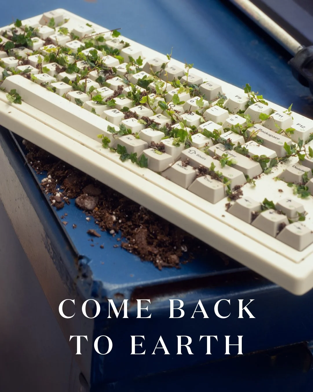 Miracle Gro Earth Day Social-31.jpg