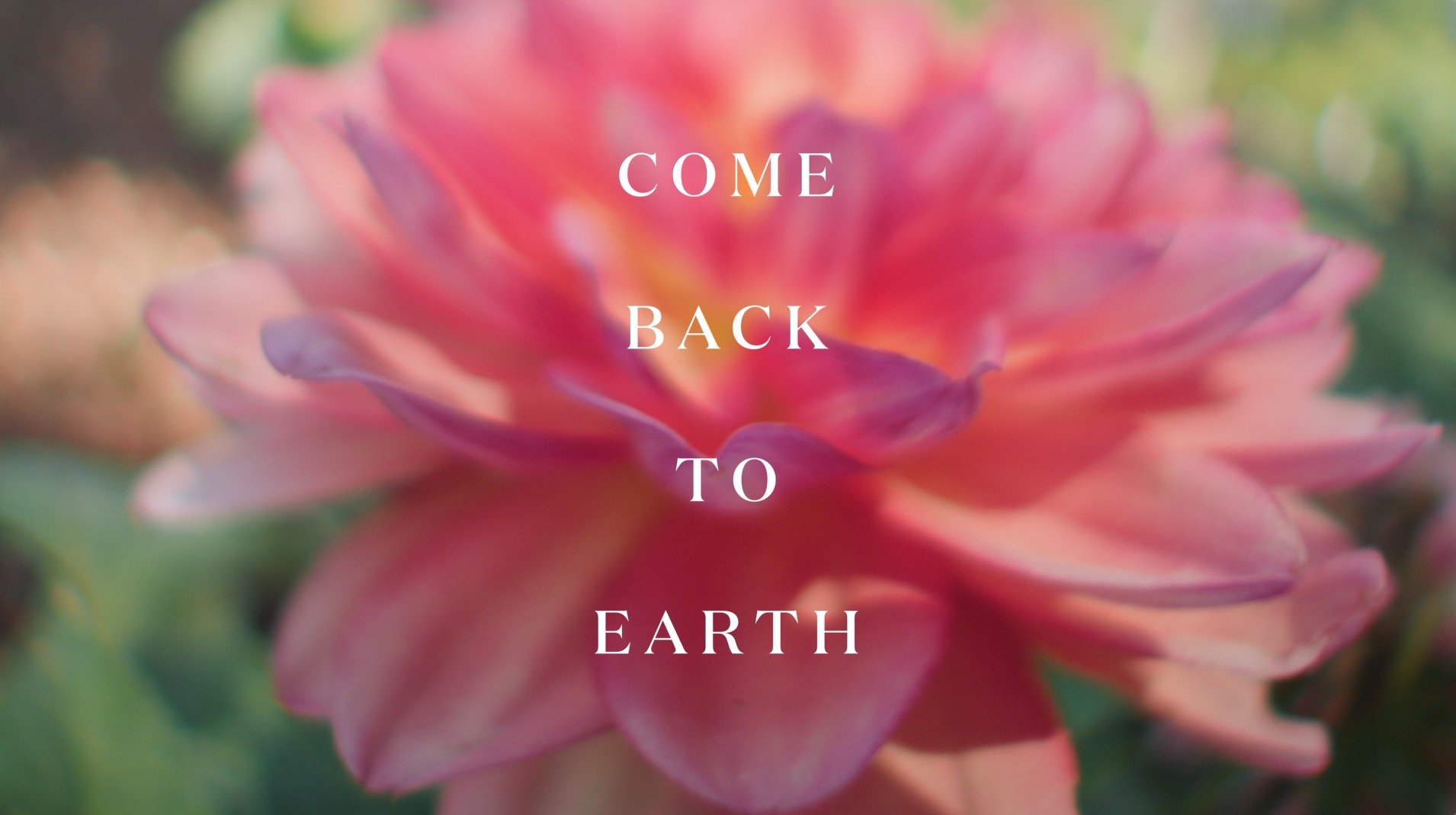Miracle Gro Come Back to Earth