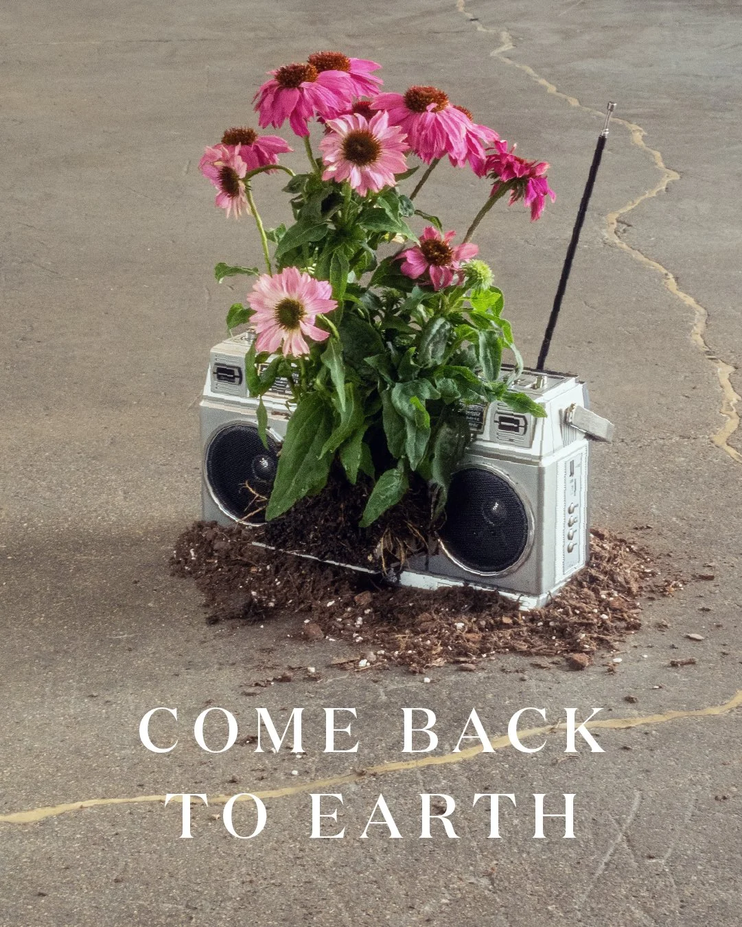 Miracle Gro Earth Day Social-29.jpg