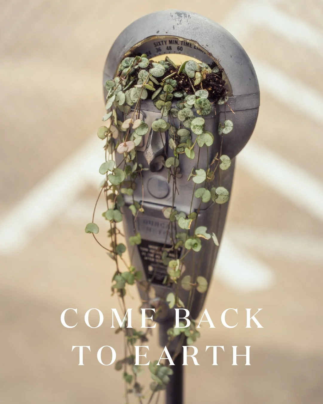 Miracle Gro Earth Day Social-28.jpg
