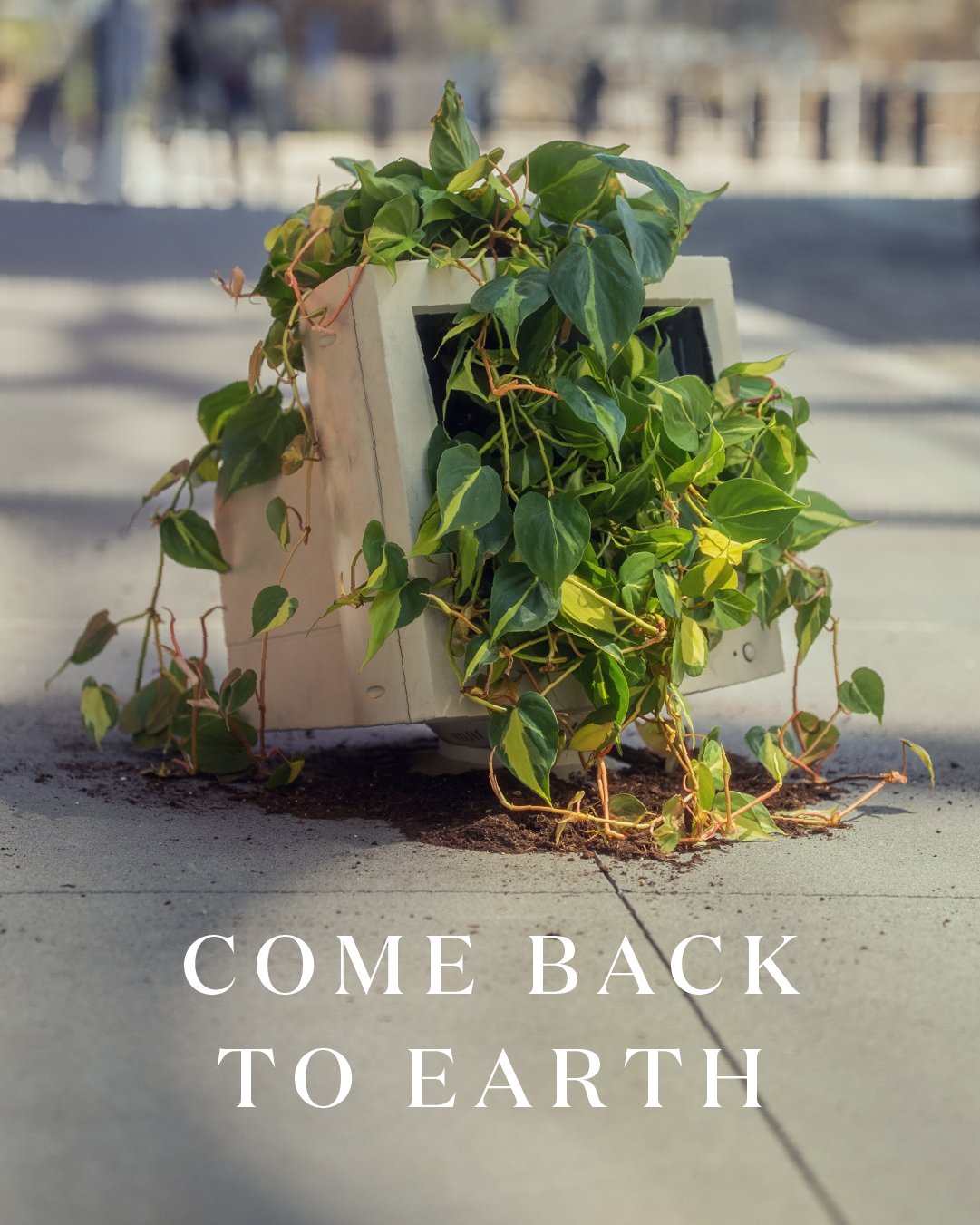 Miracle Gro Earth Day Social-25.jpg