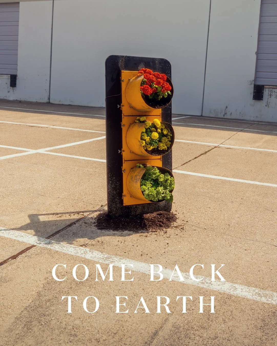 Miracle Gro Earth Day Social-26.jpg