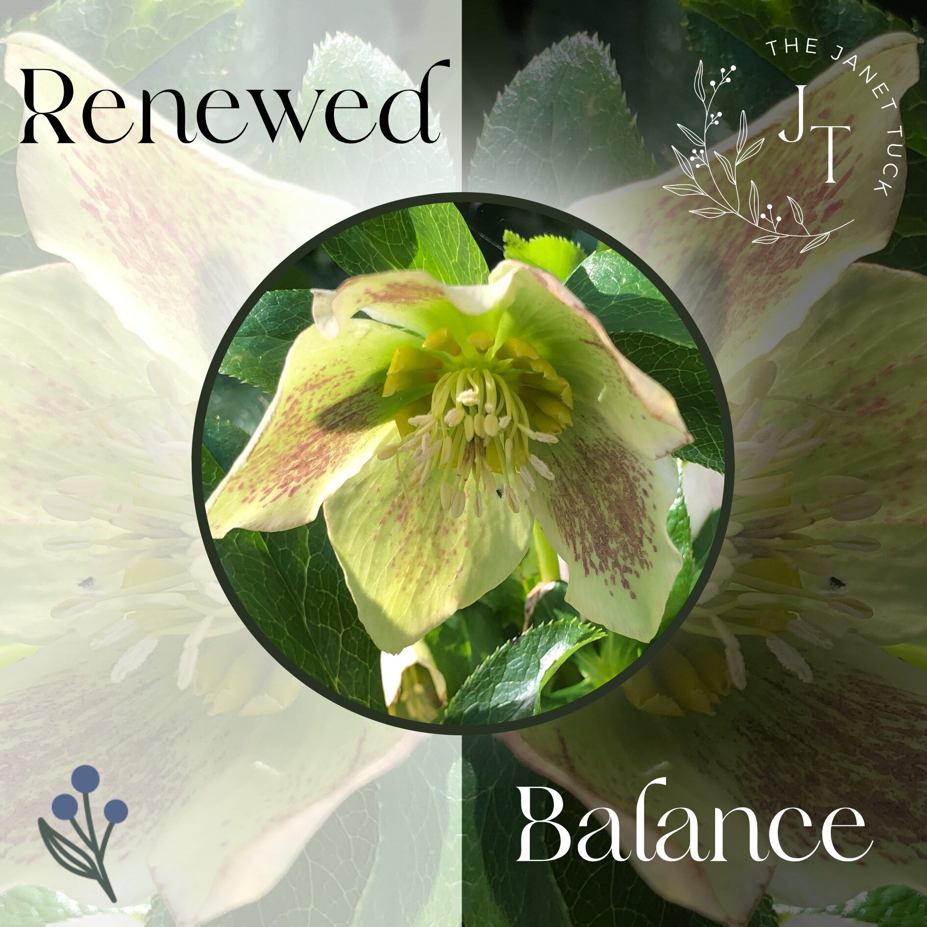 With this spring equinox, I'm inviting renewed balance into my life. 

How will you mark the moment of equal light and dark as we enter Spring? I'm now using the Healy frequency device during my Healing Touch sessions. It offers a variety of ways to 