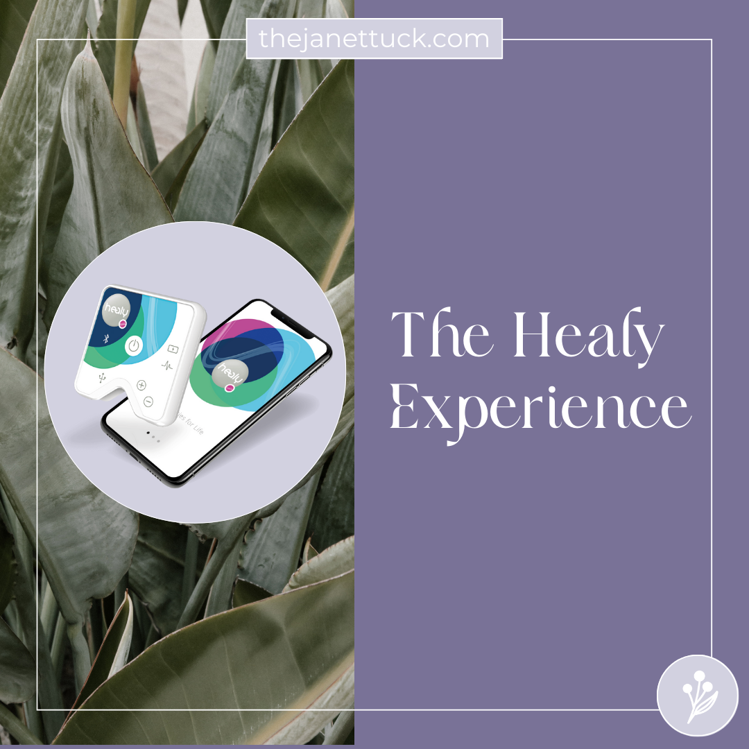 The Healy Experience — The Tuck