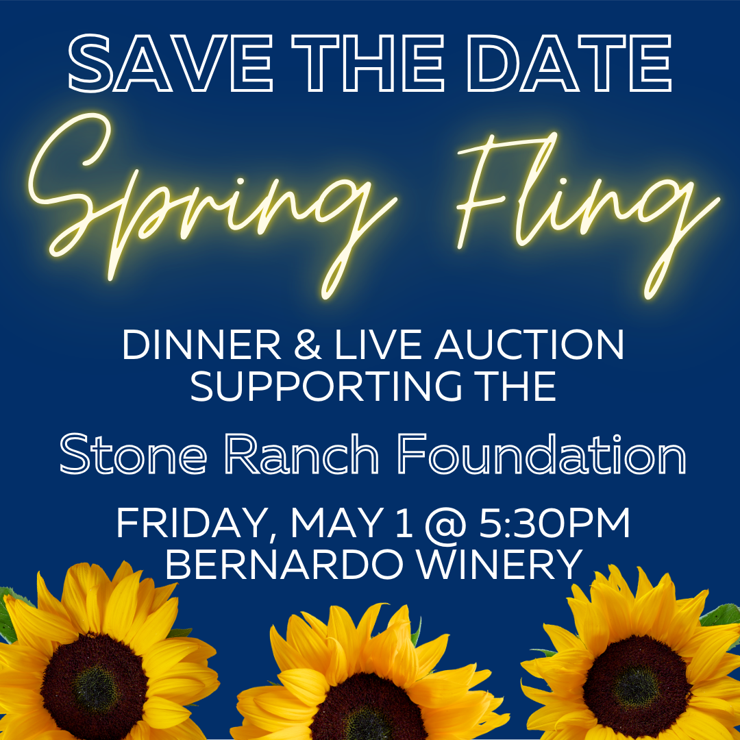 Spring Fling Fundraiser
